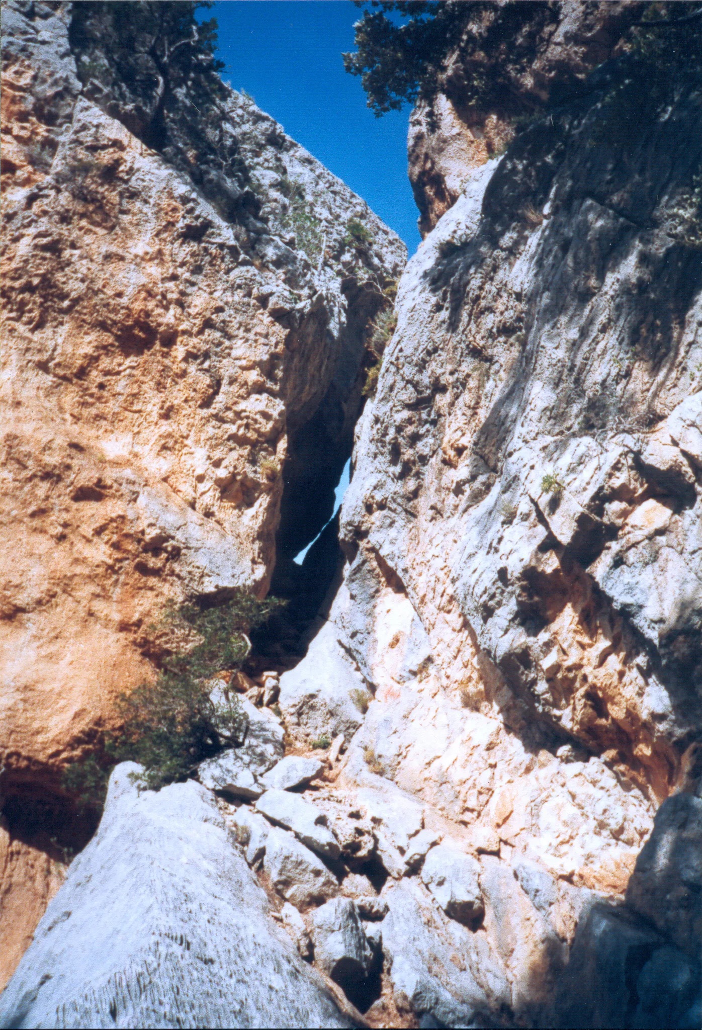 Gallery Image 59