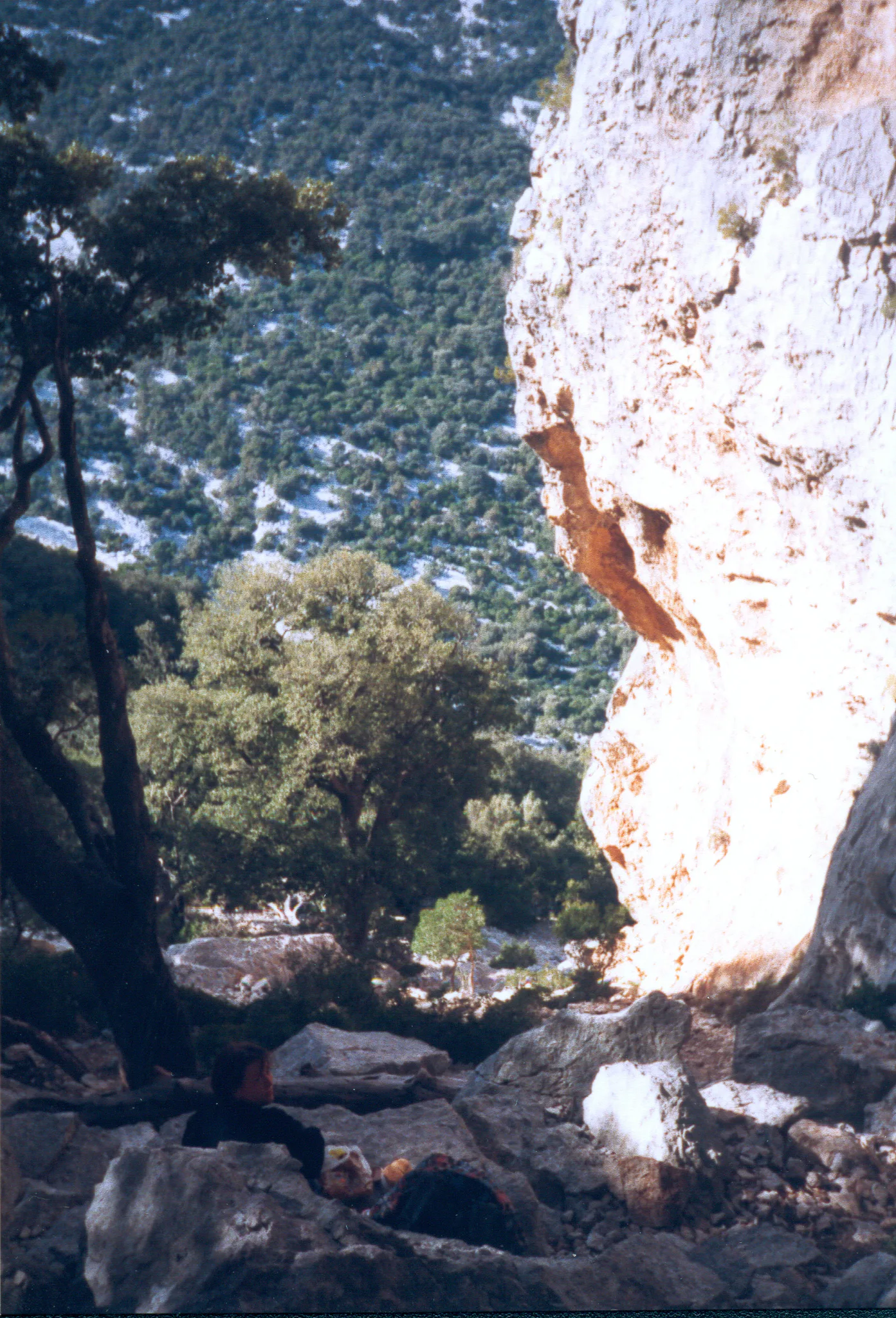 Gallery Image 60