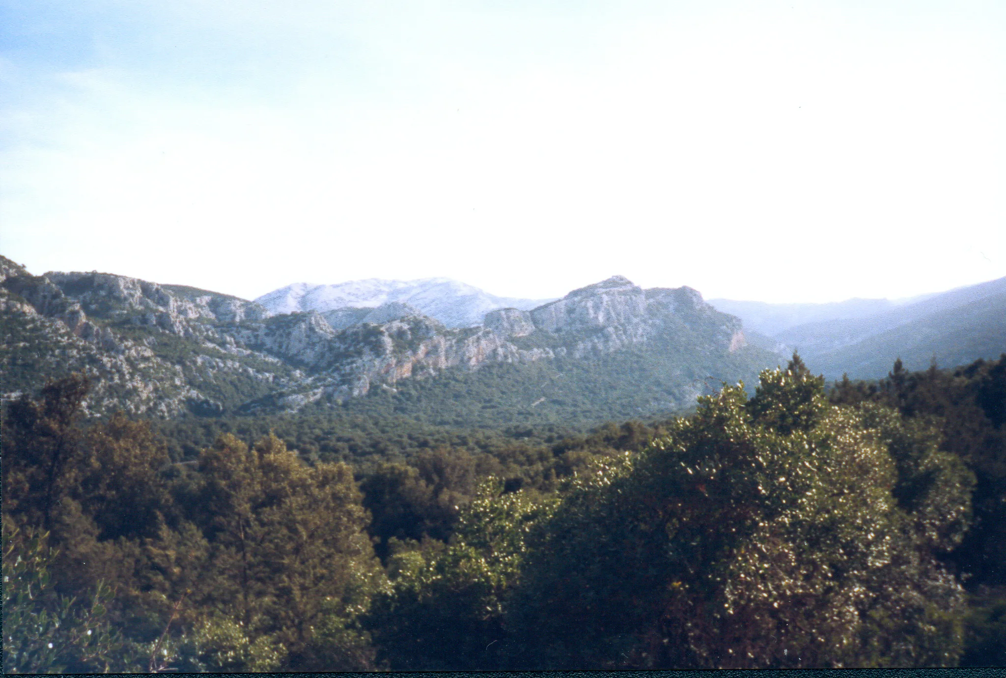 Gallery Image 61