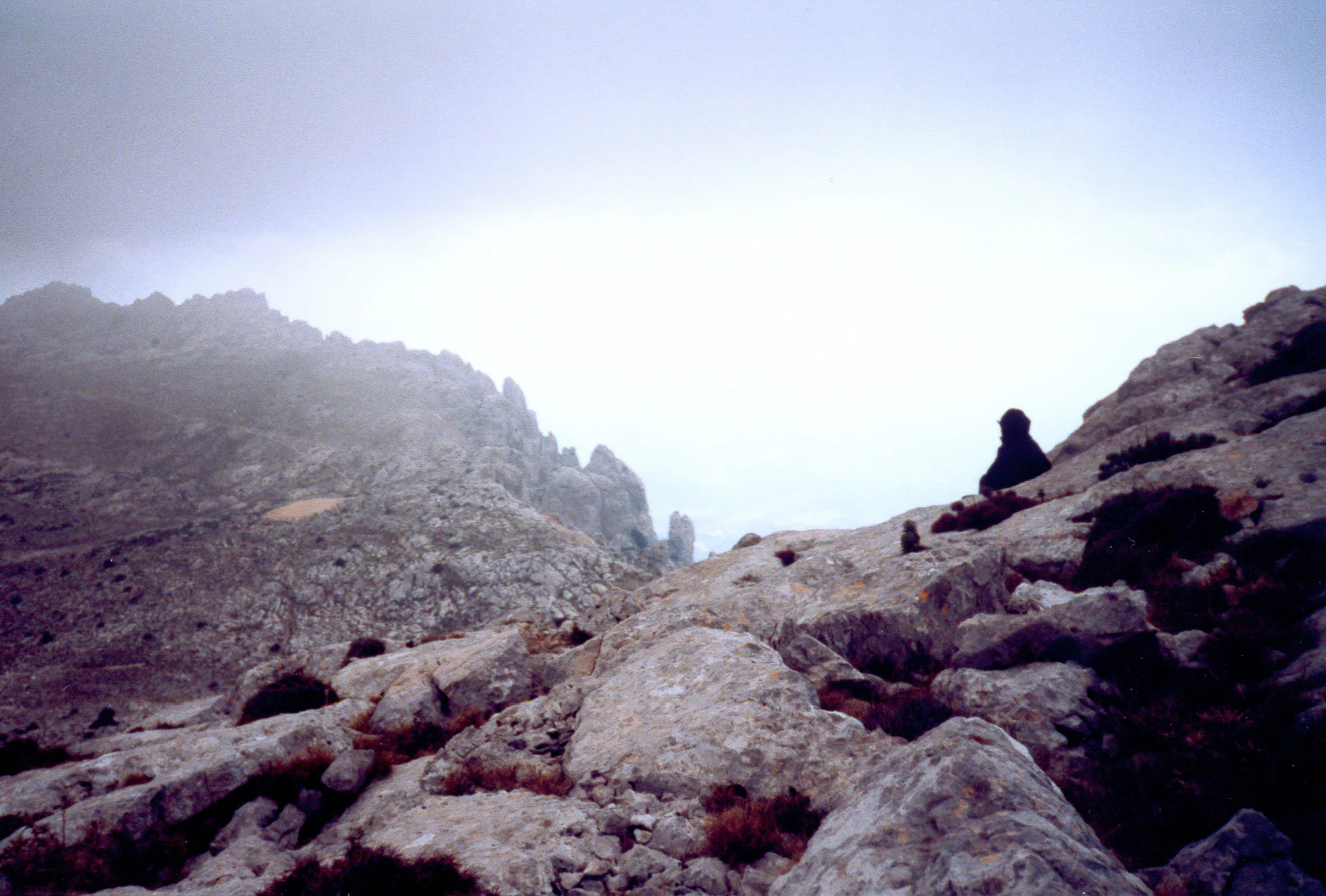 Gallery Image 63