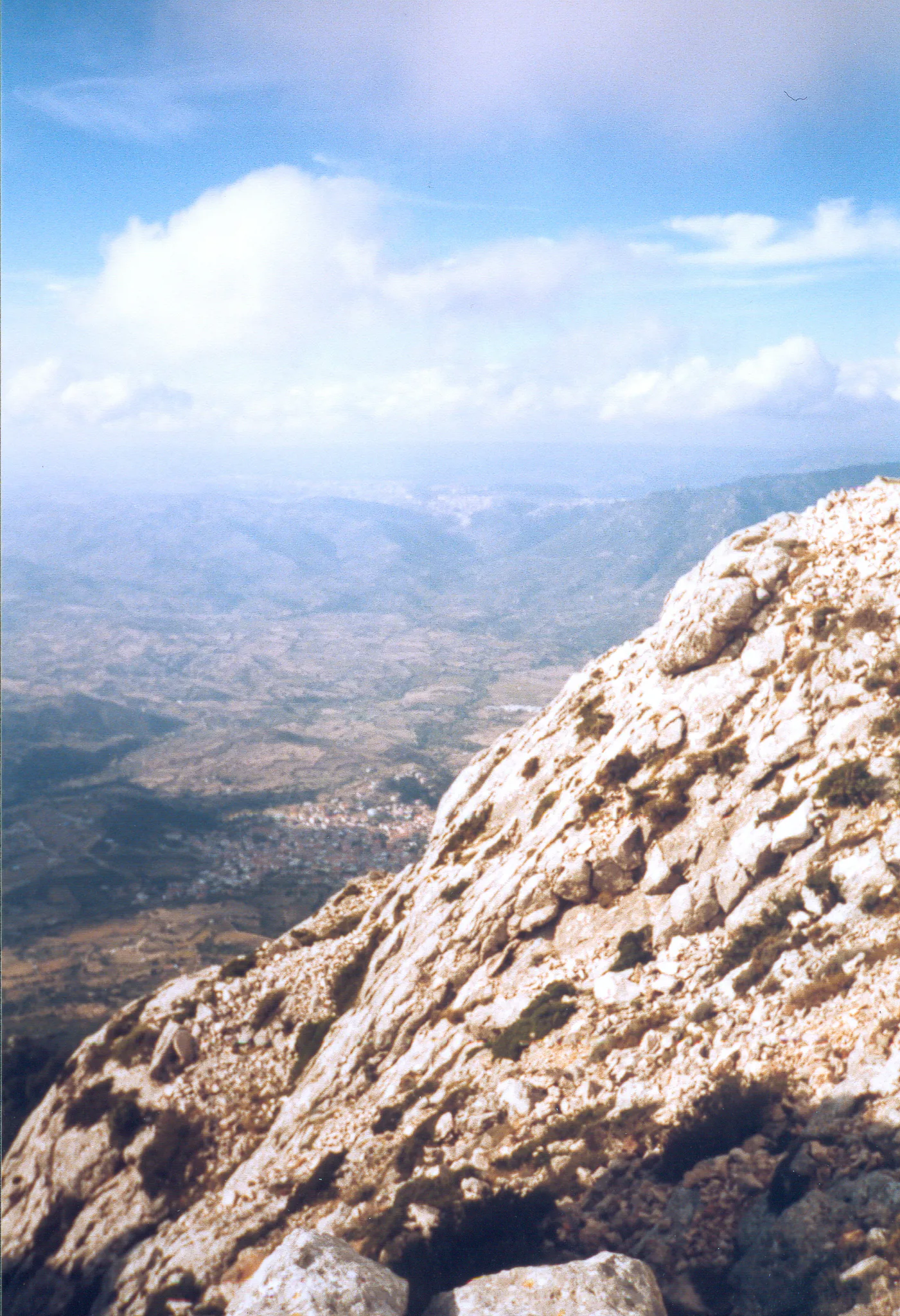 Gallery Image 64
