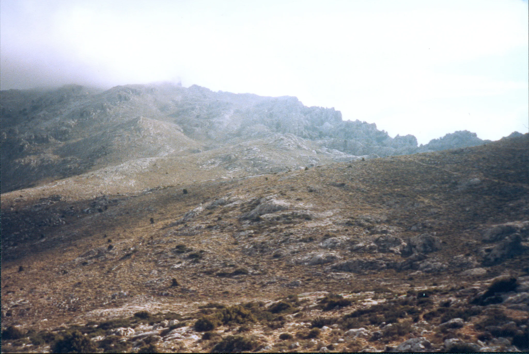 Gallery Image 65