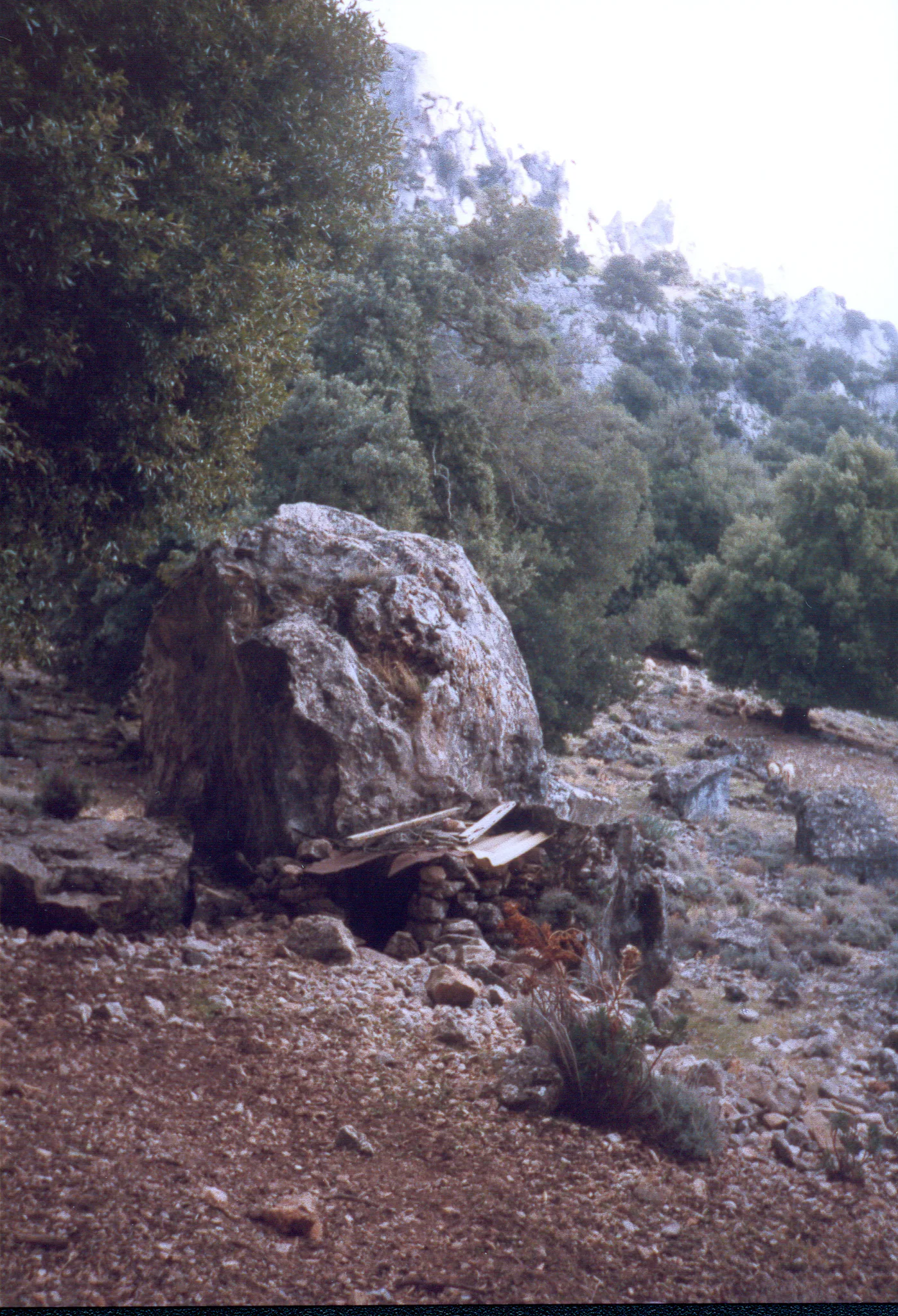 Gallery Image 67