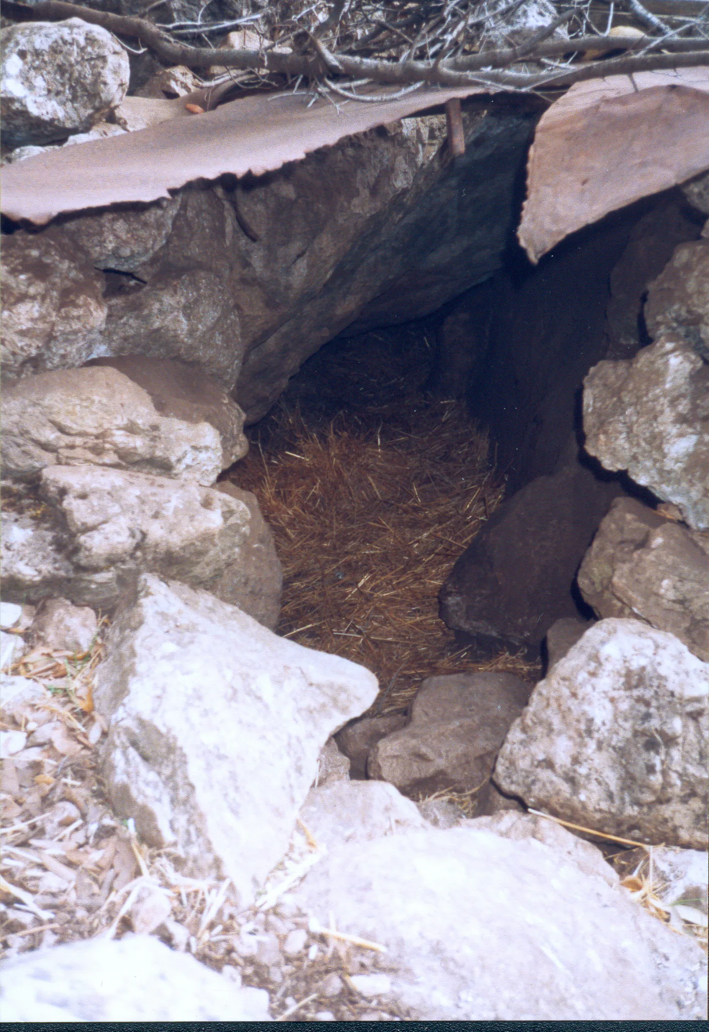 Gallery Image 68