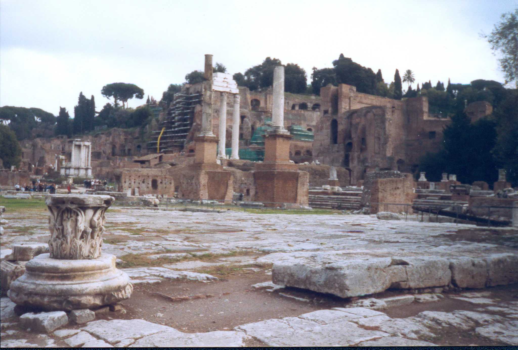 Gallery Image 73