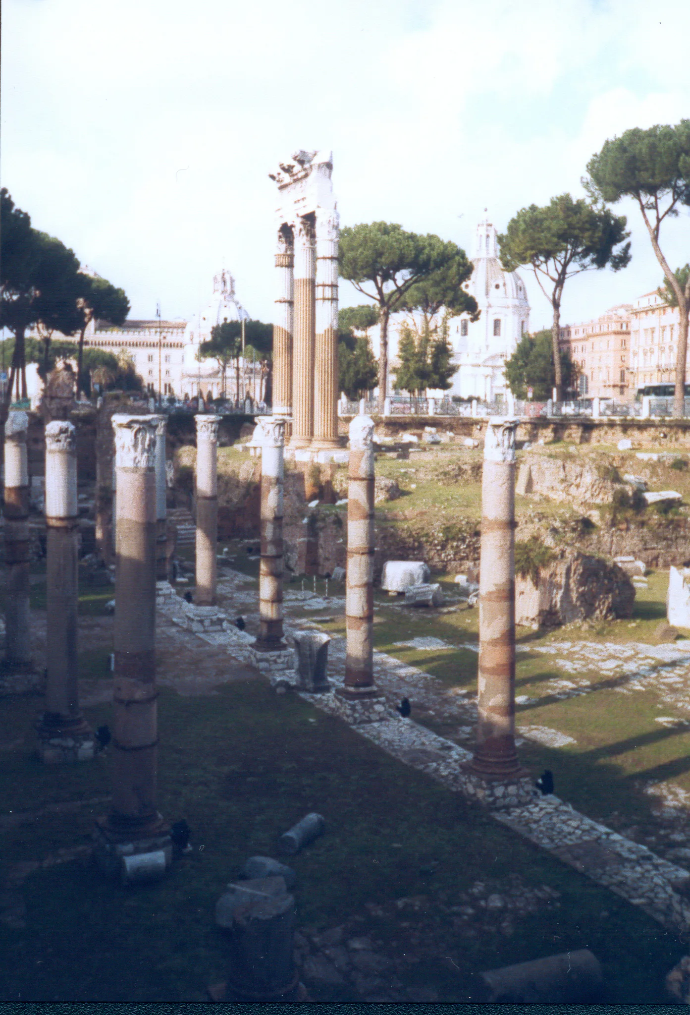 Gallery Image 74