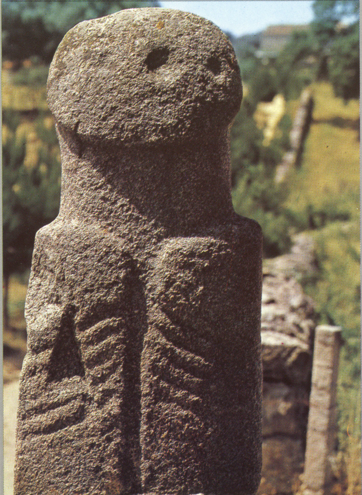 Gallery Image 101