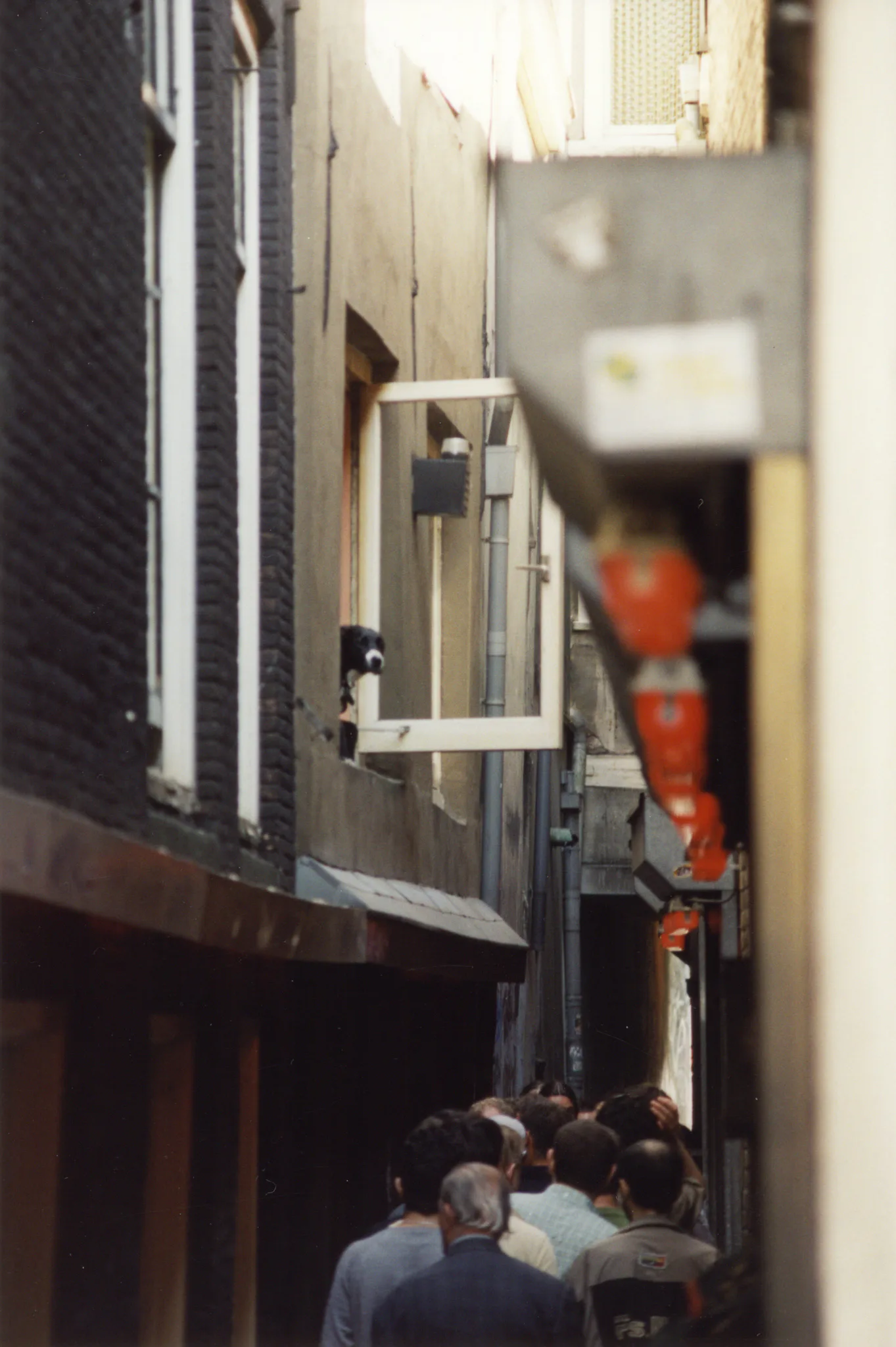 Gallery Image 7