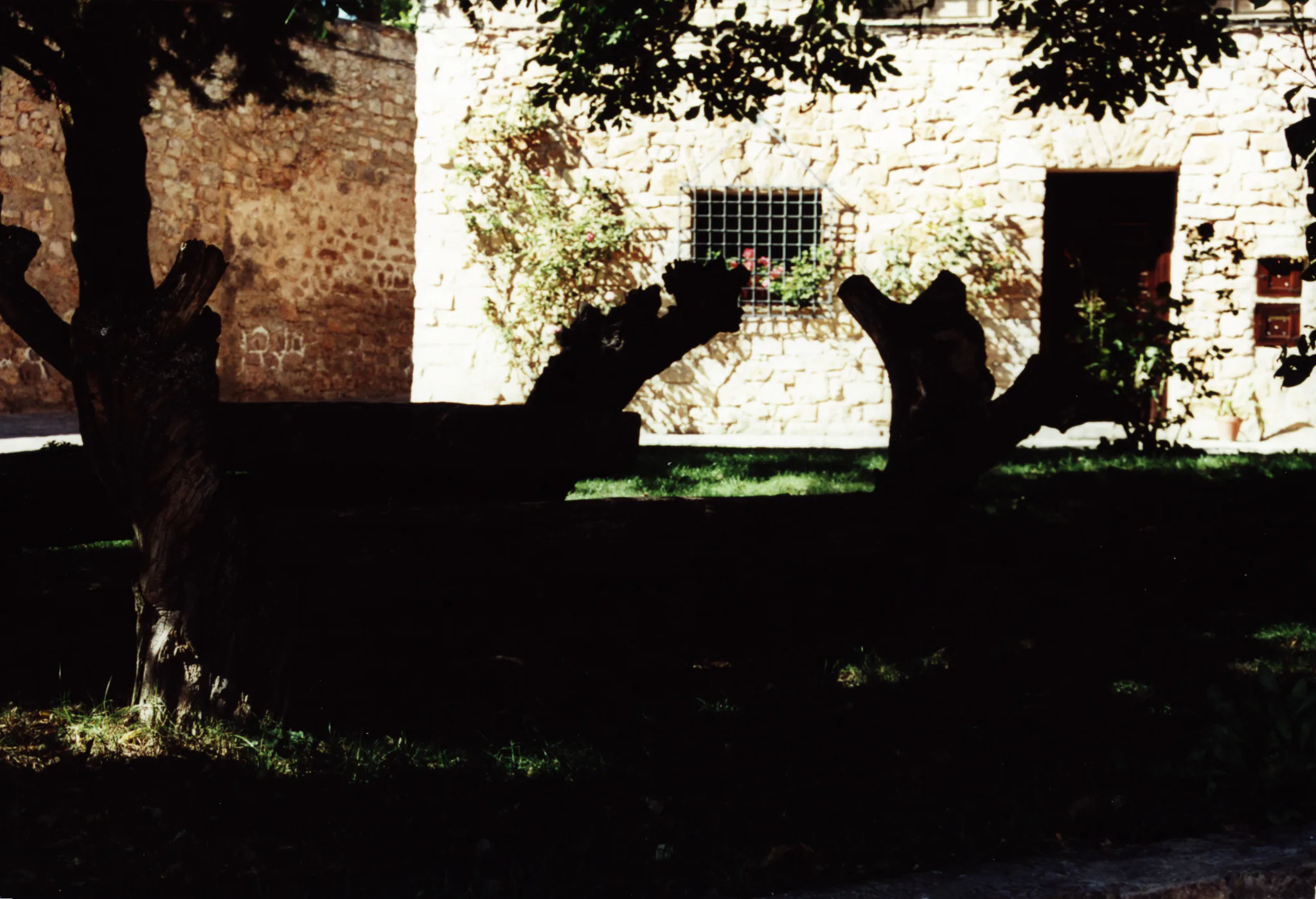 Gallery Image 9
