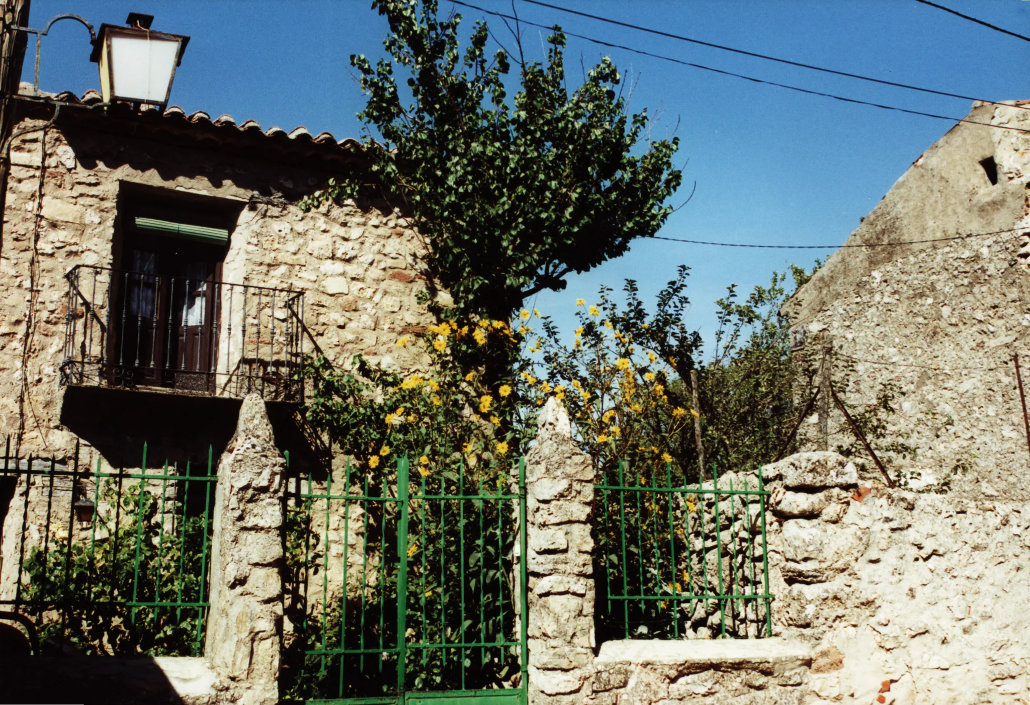Gallery Image 18