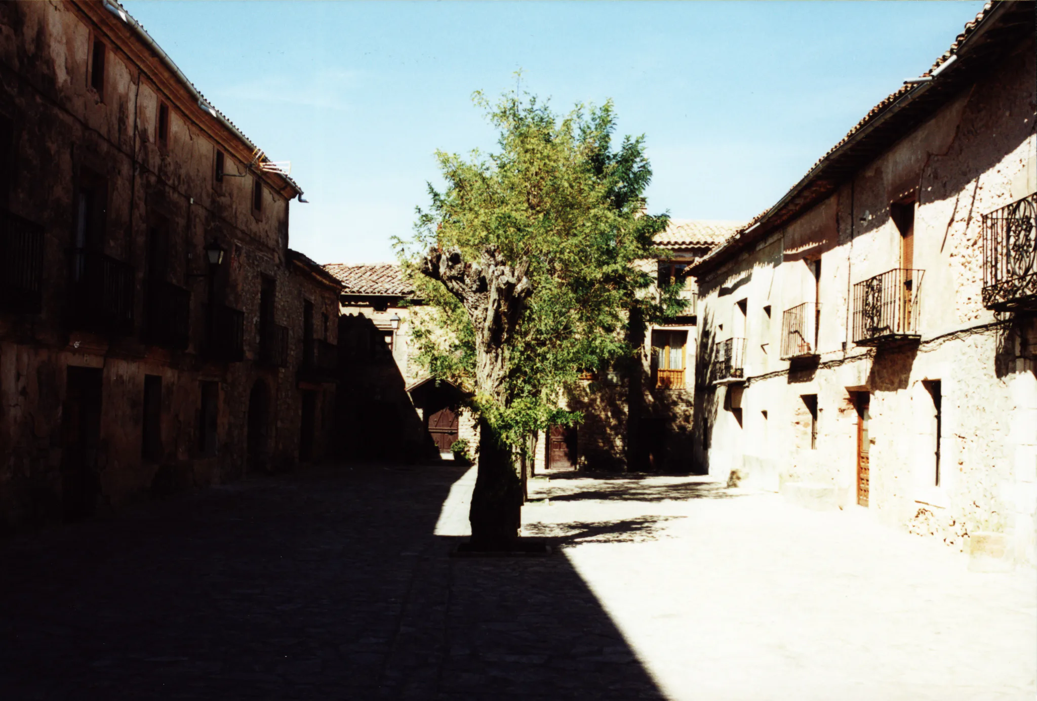 Gallery Image 19