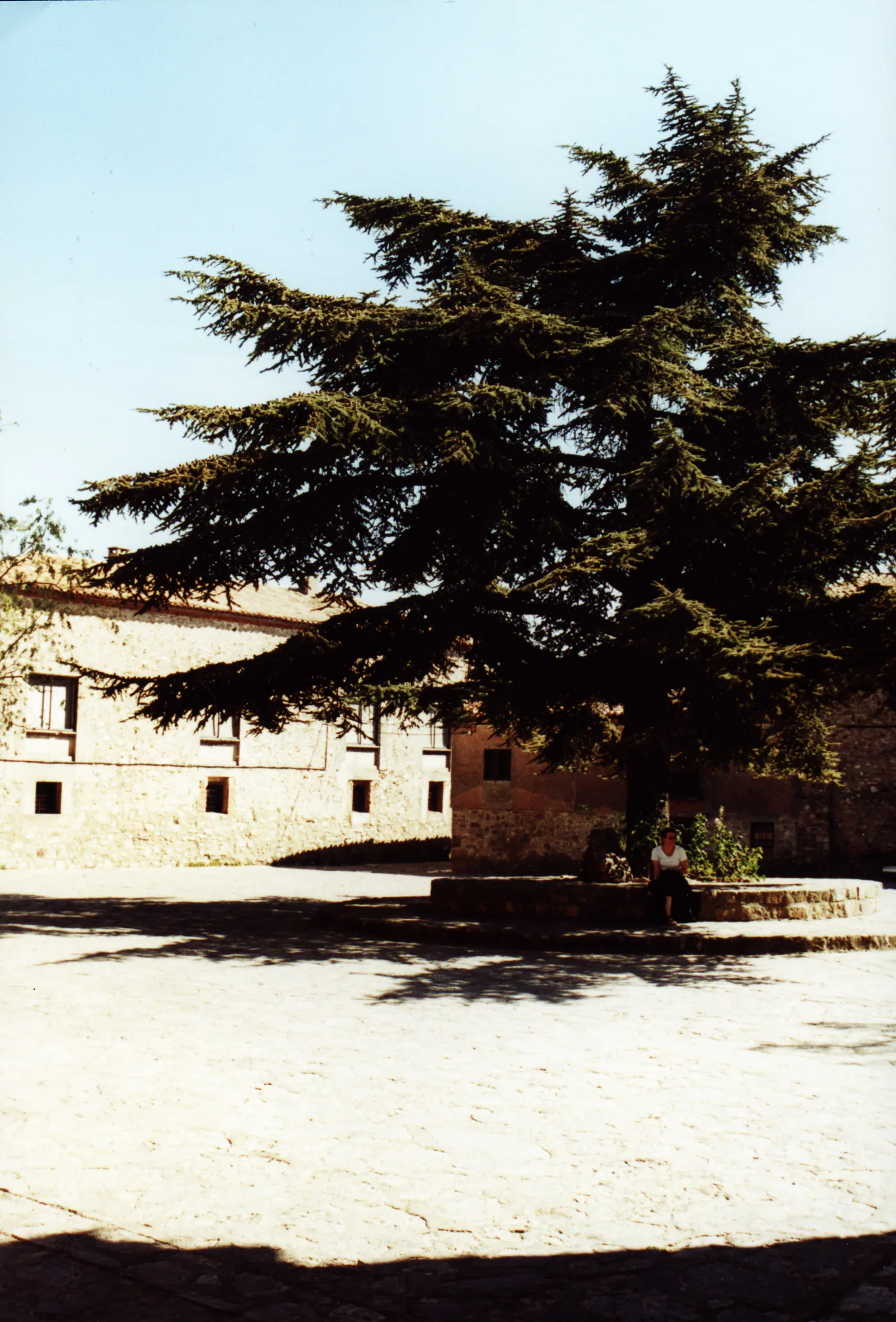 Gallery Image 20