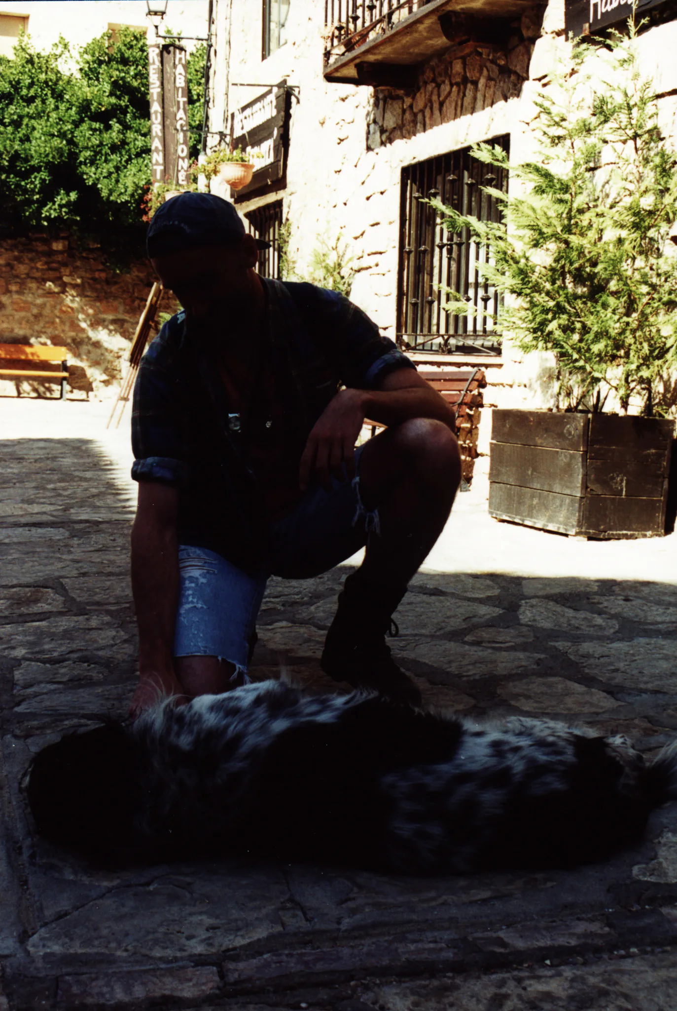 Gallery Image 22