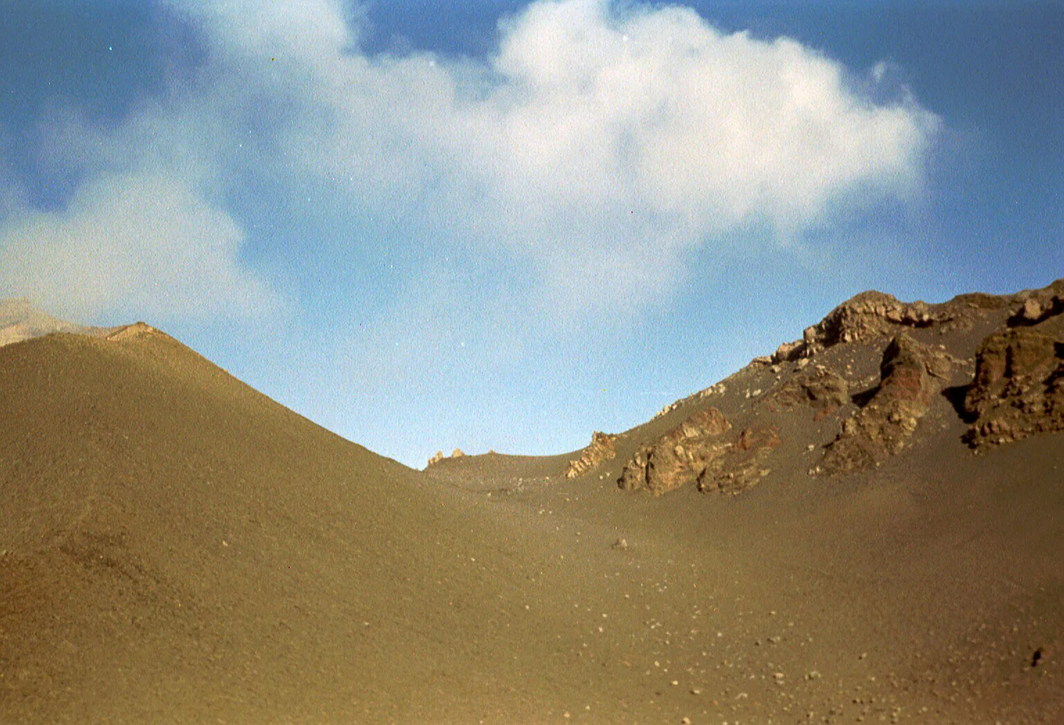 Gallery Image 26