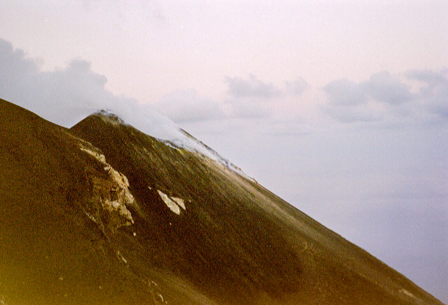 Gallery Image 30