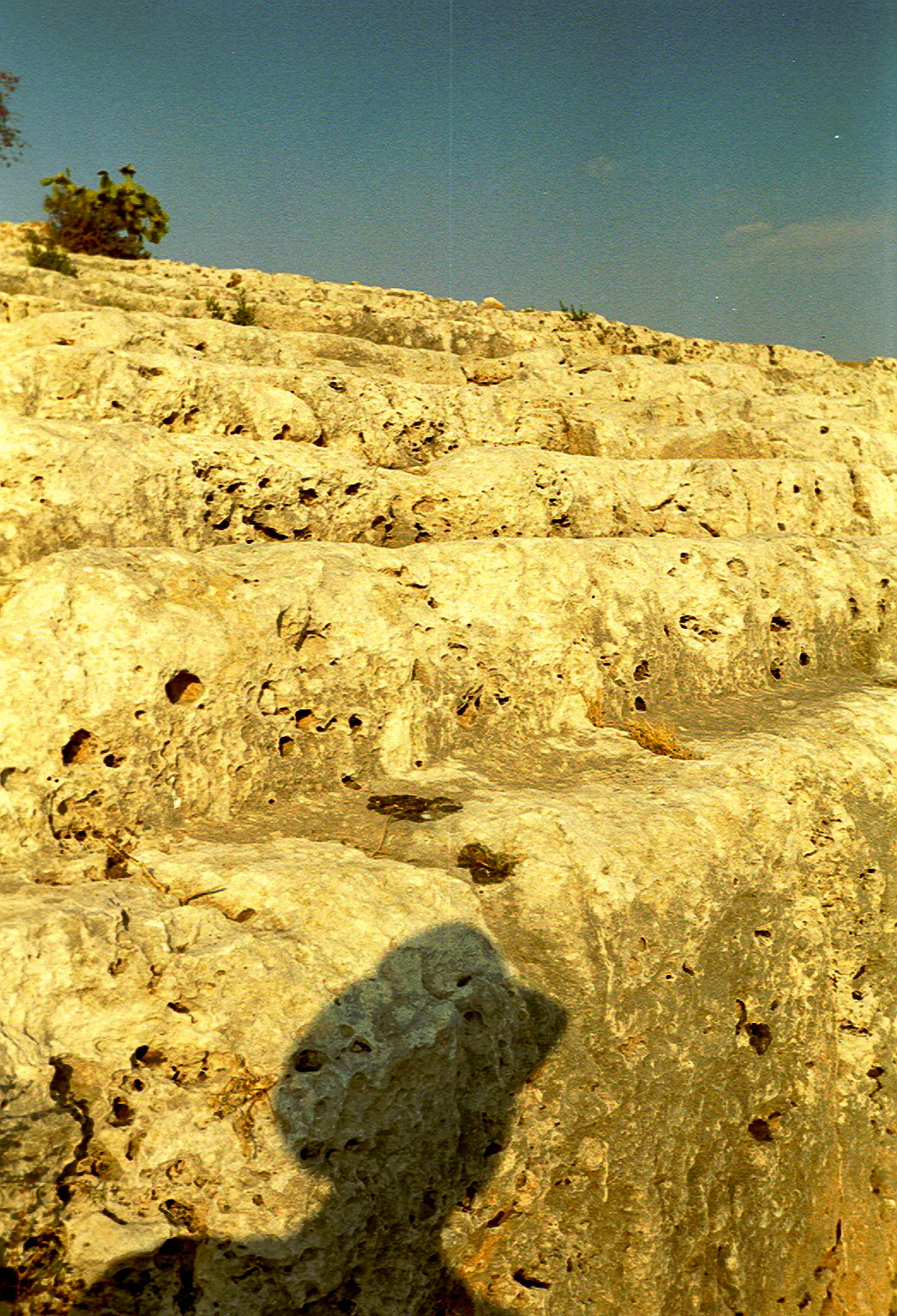 Gallery Image 53