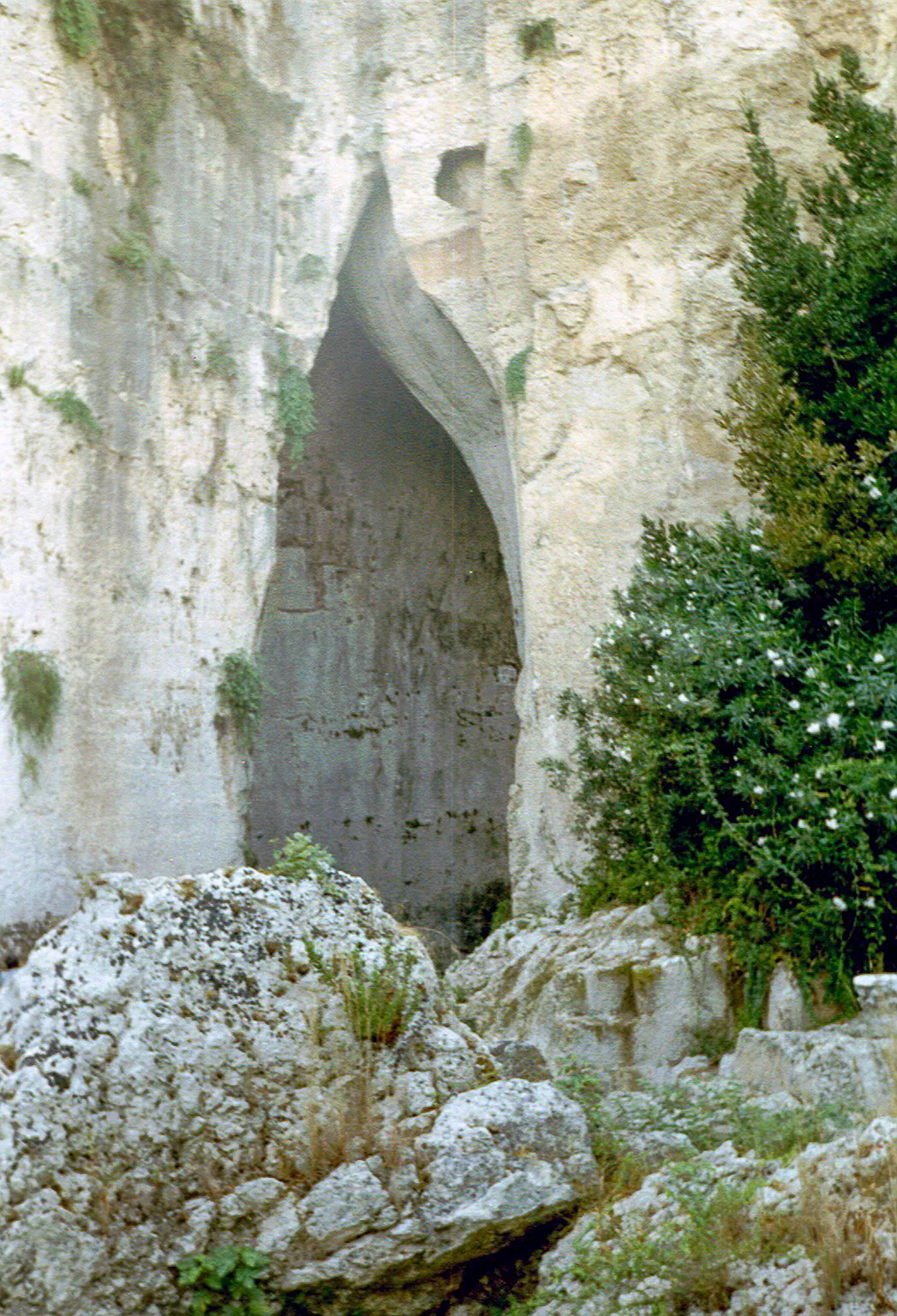 Gallery Image 54