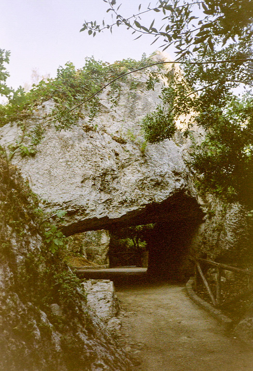 Gallery Image 56