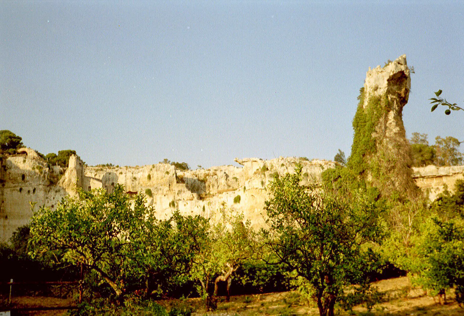 Gallery Image 57