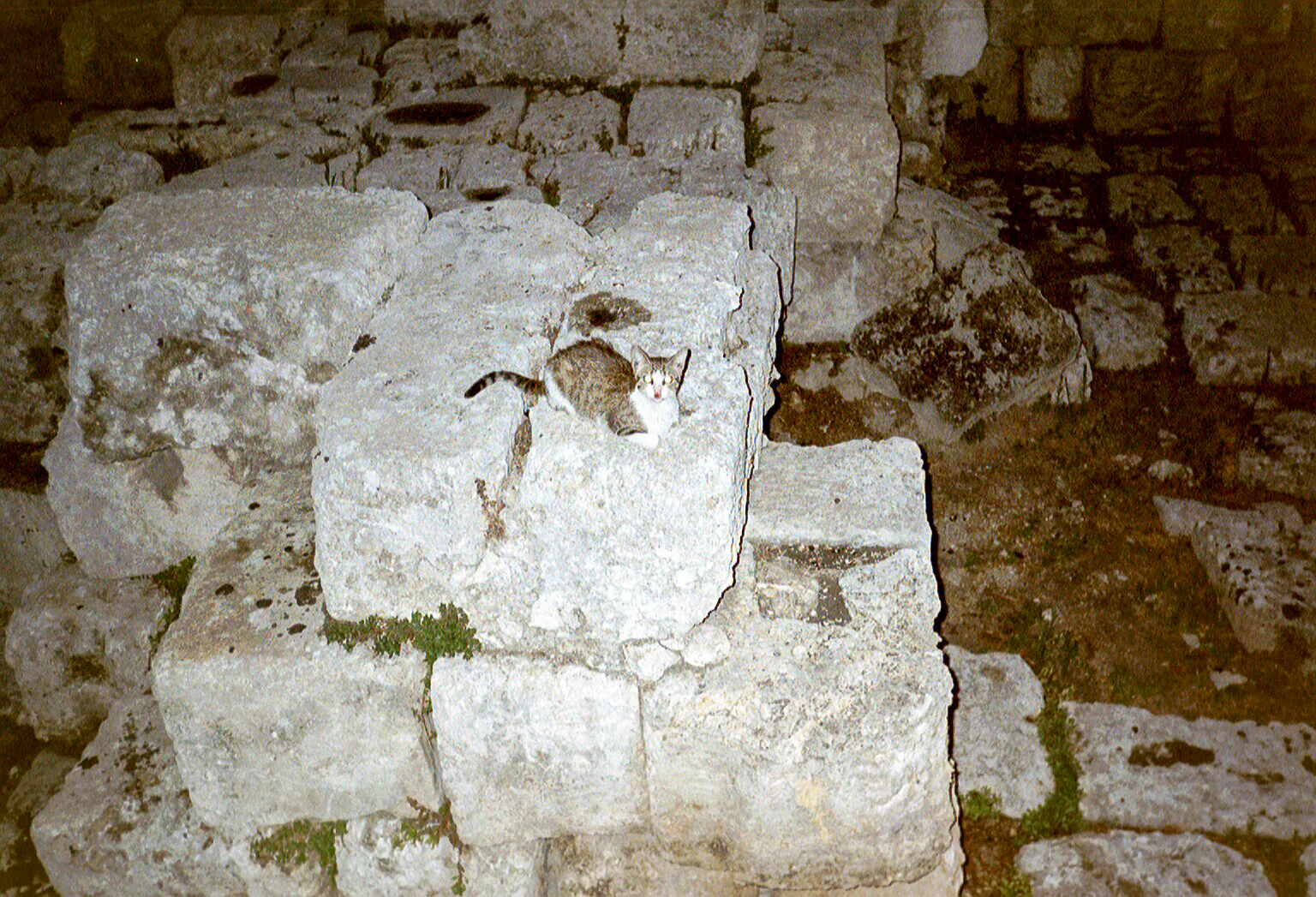 Gallery Image 61