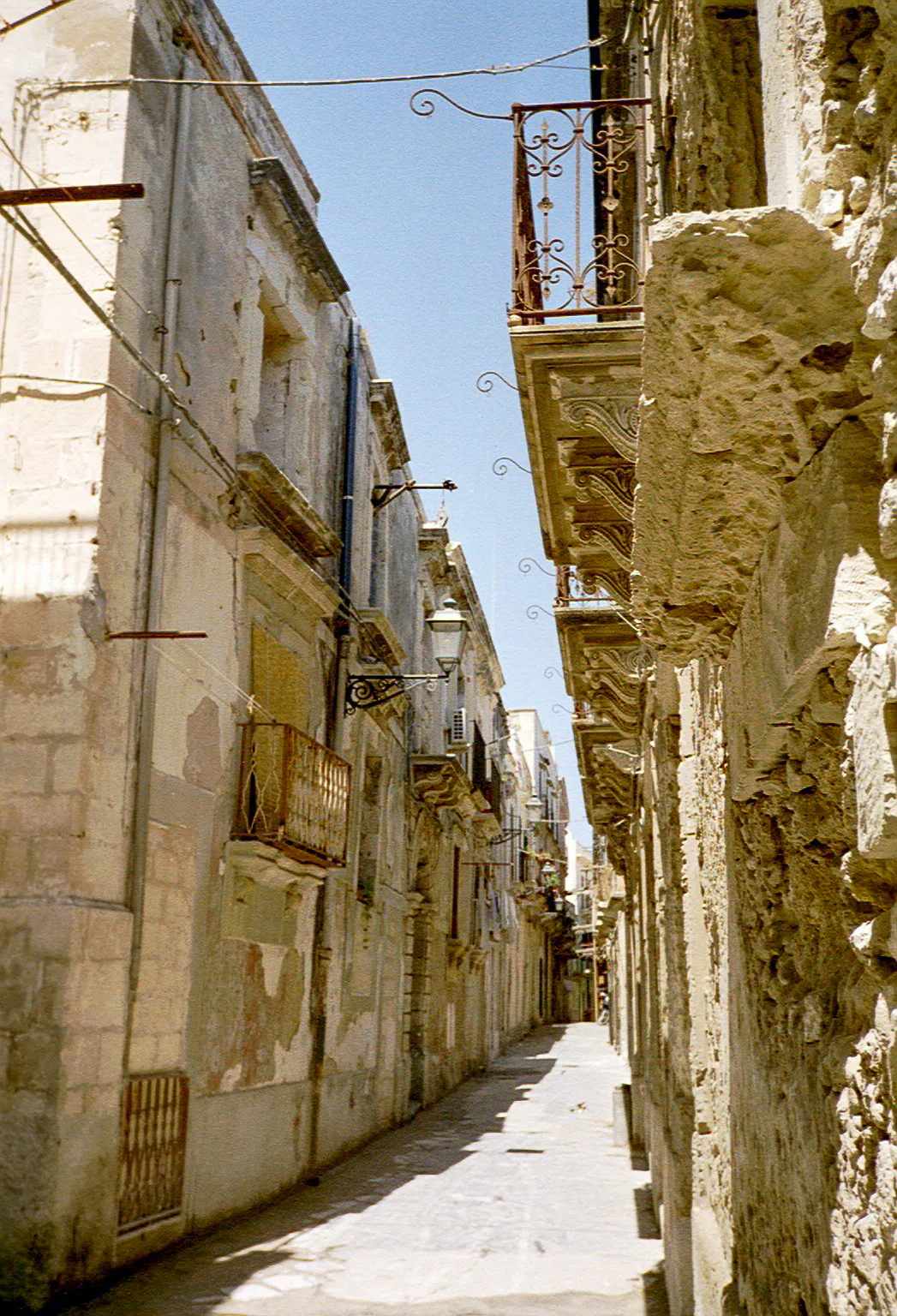Gallery Image 69
