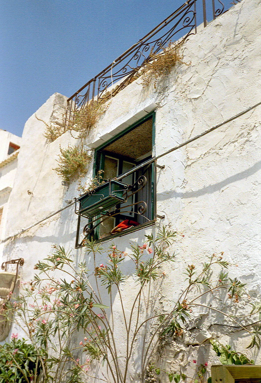 Gallery Image 72