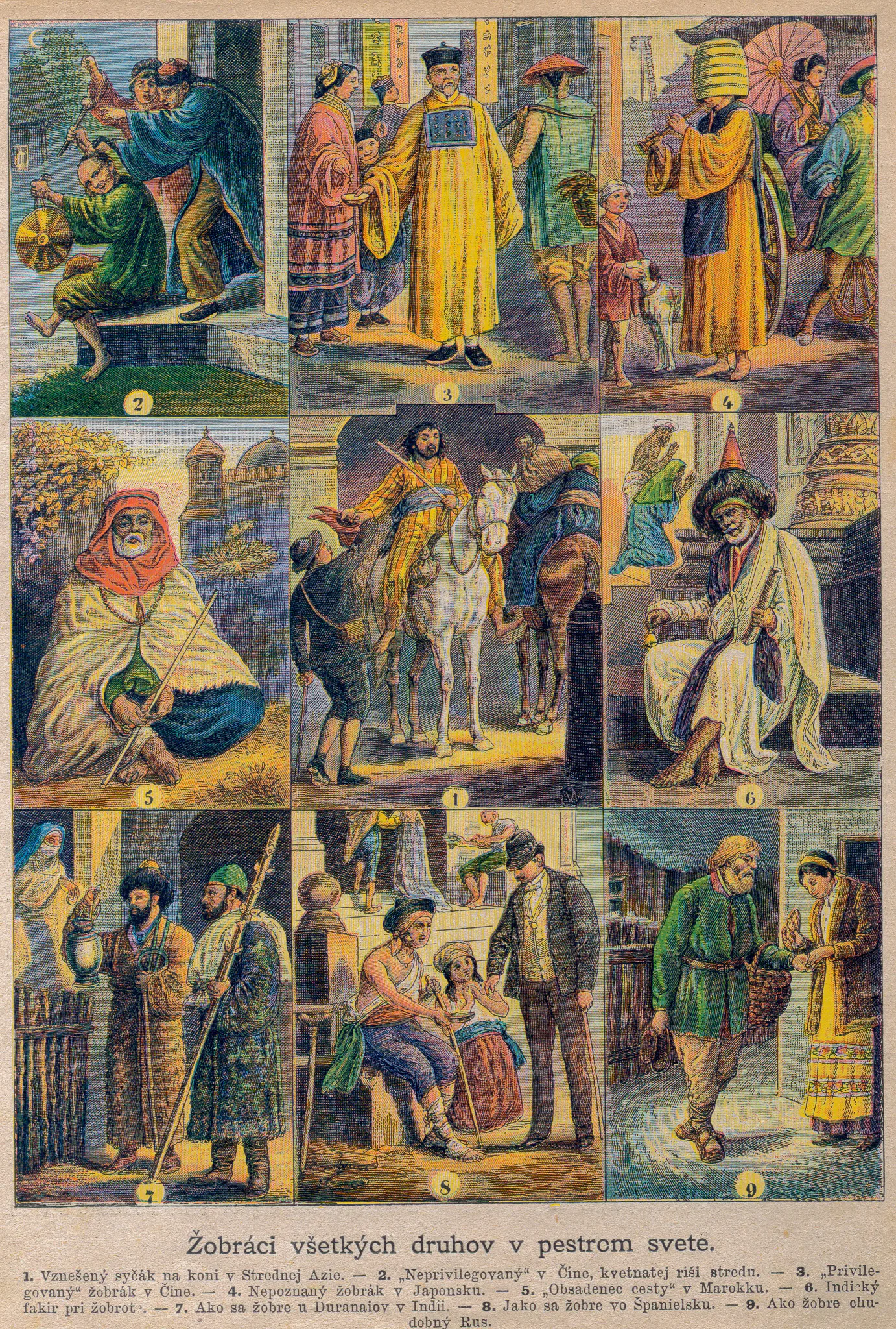 Gallery Image 11