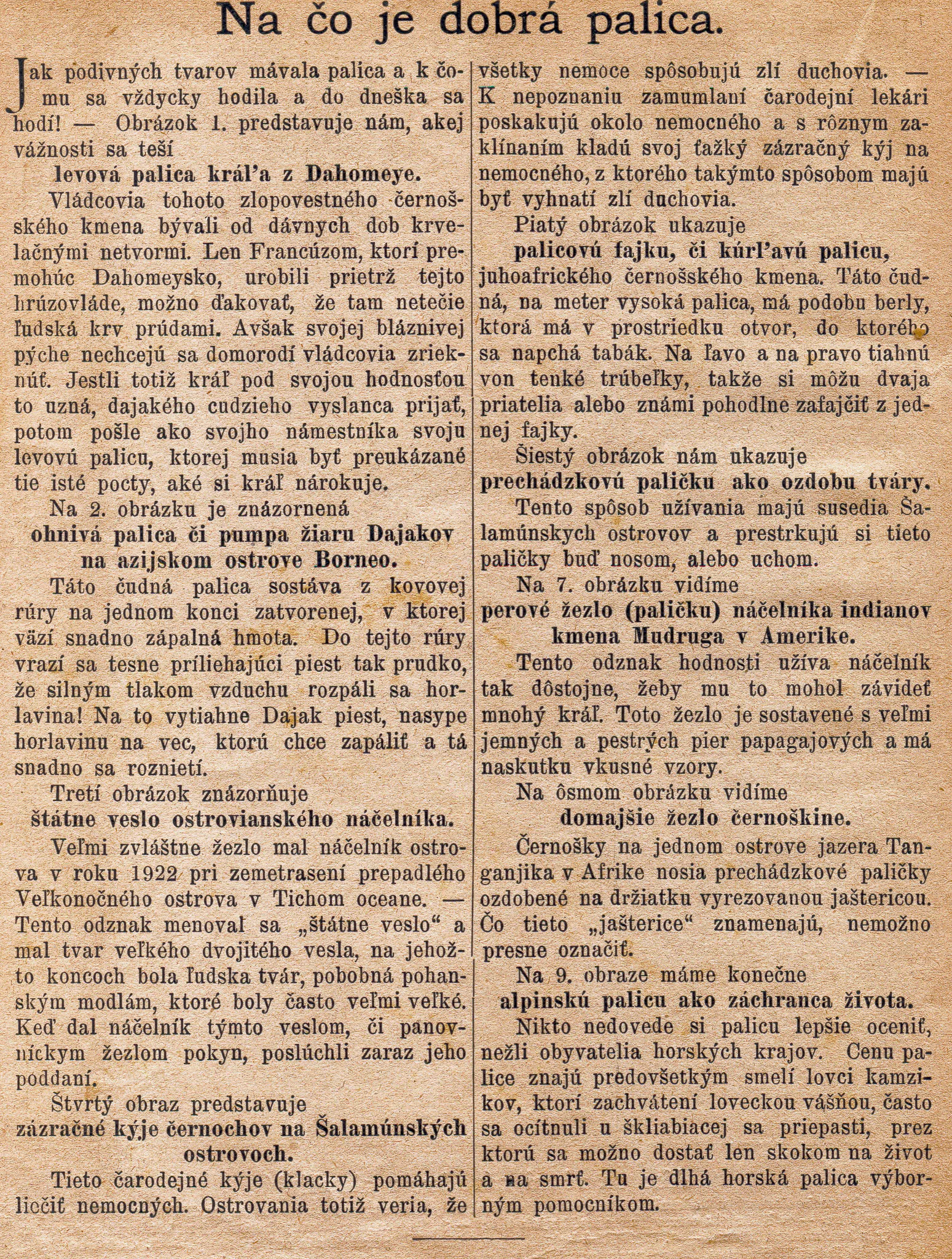 Gallery Image 14