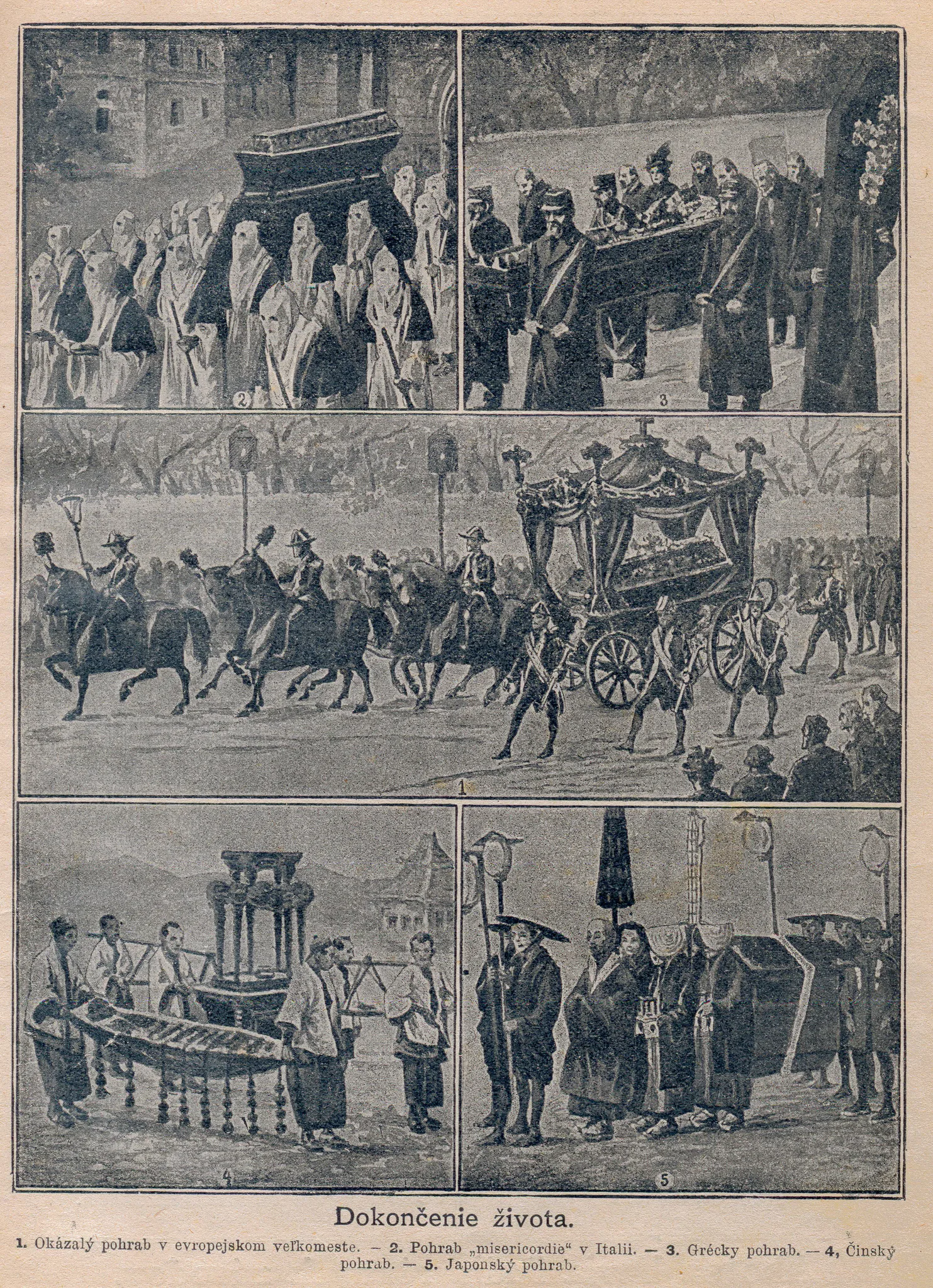 Gallery Image 19