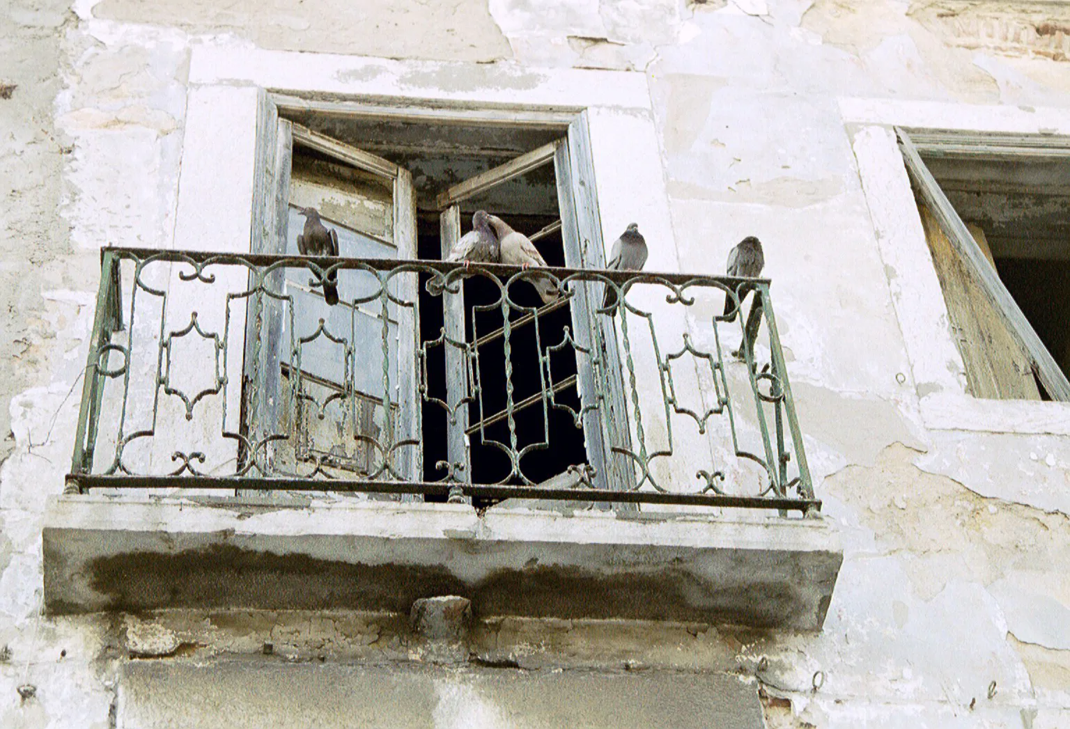 Gallery Image 19