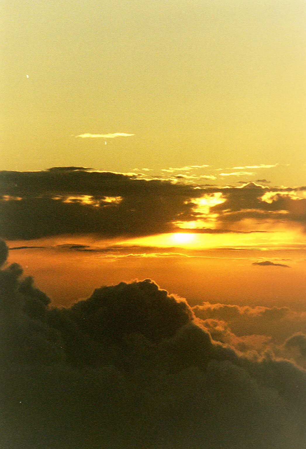 Gallery Image 29