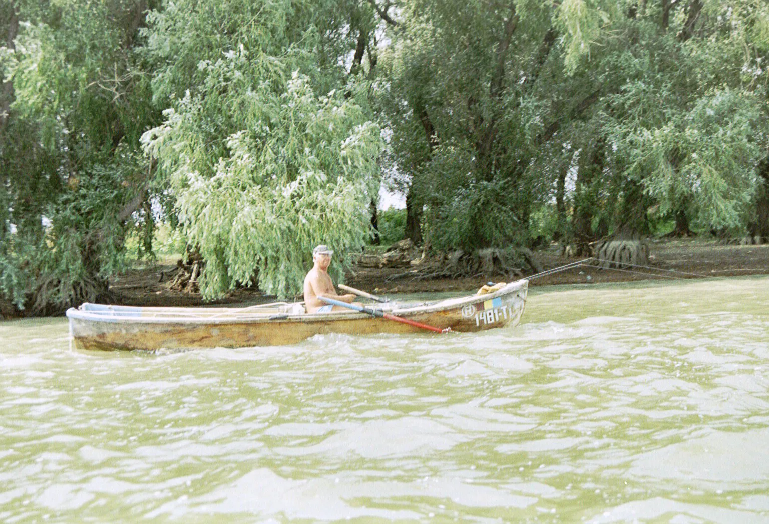 Gallery Image 15