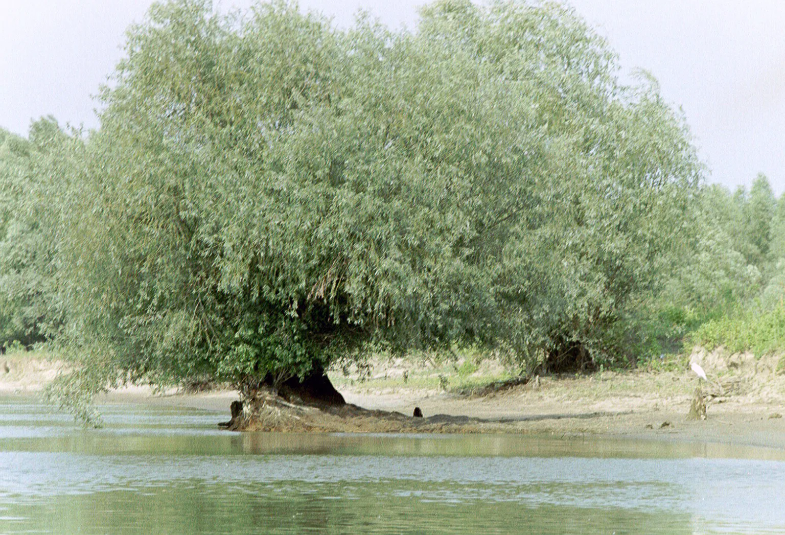 Gallery Image 18