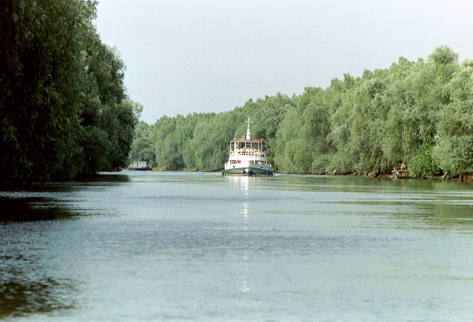 Gallery Image 19