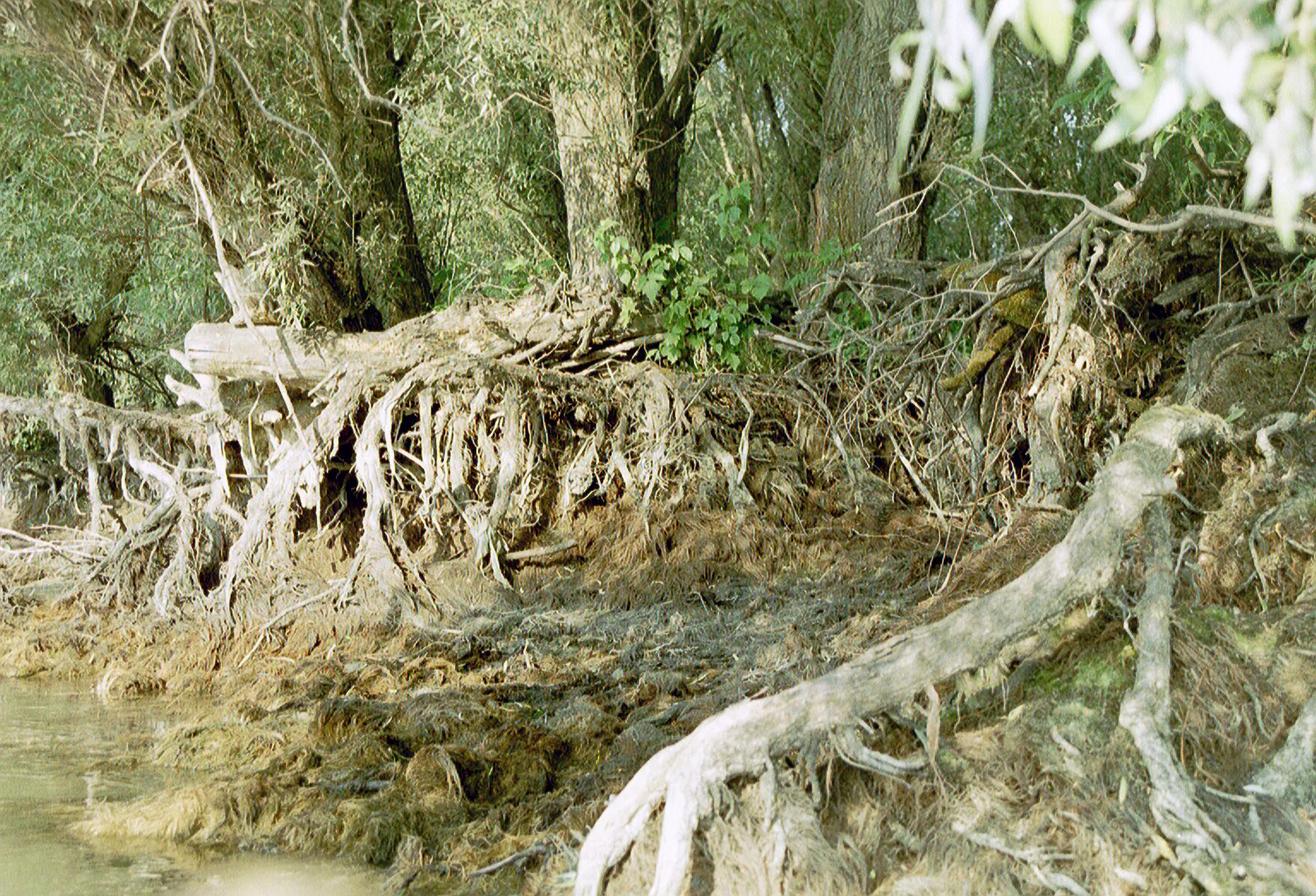 Gallery Image 22