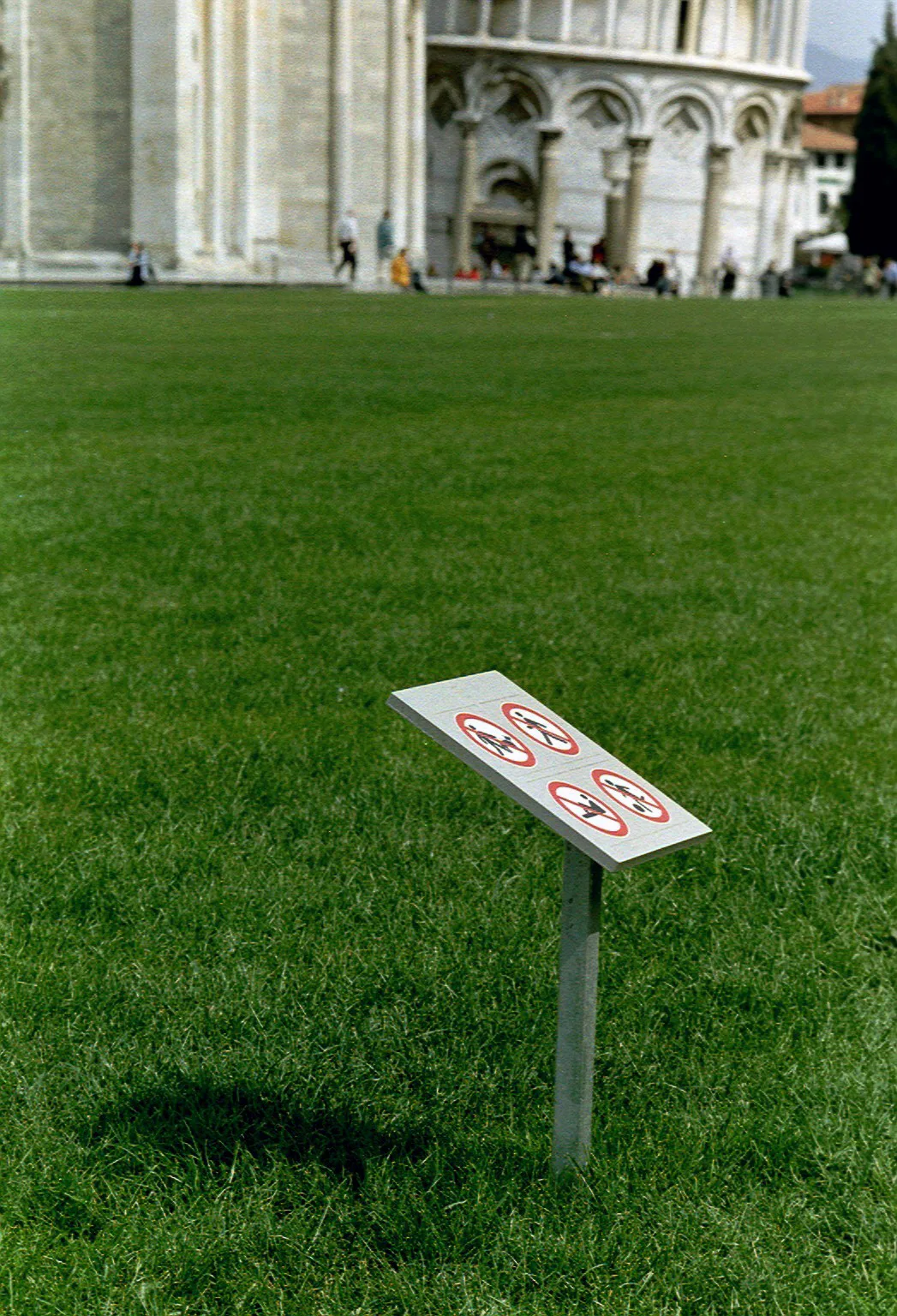 Gallery Image 14