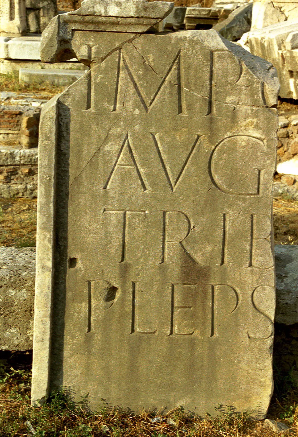 Gallery Image 22