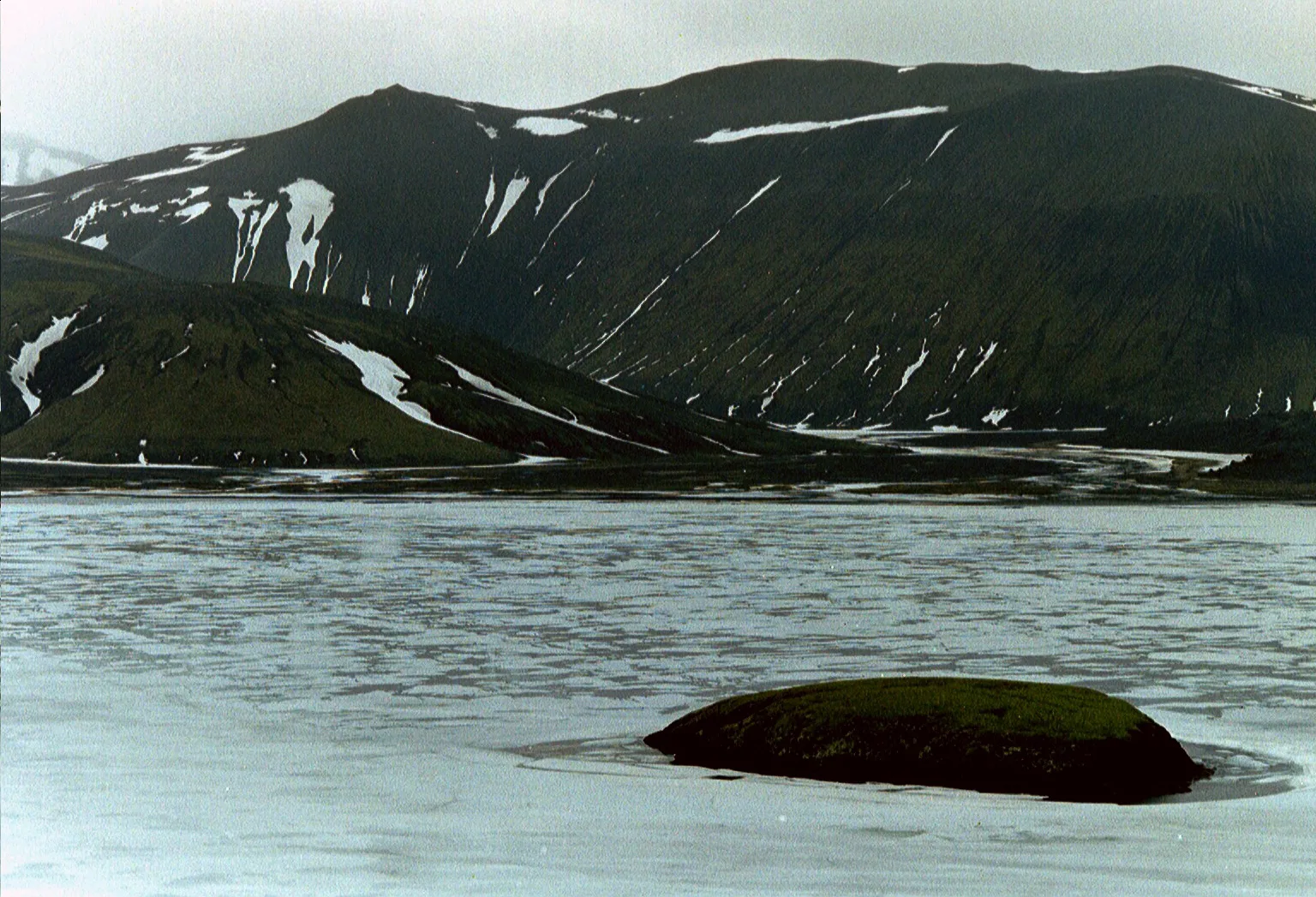 Gallery Image 13