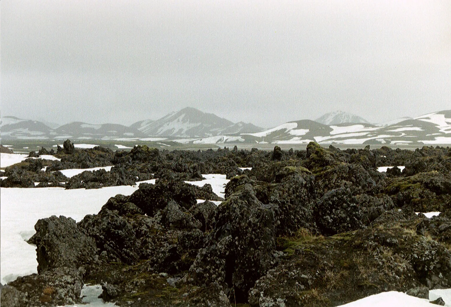 Gallery Image 15