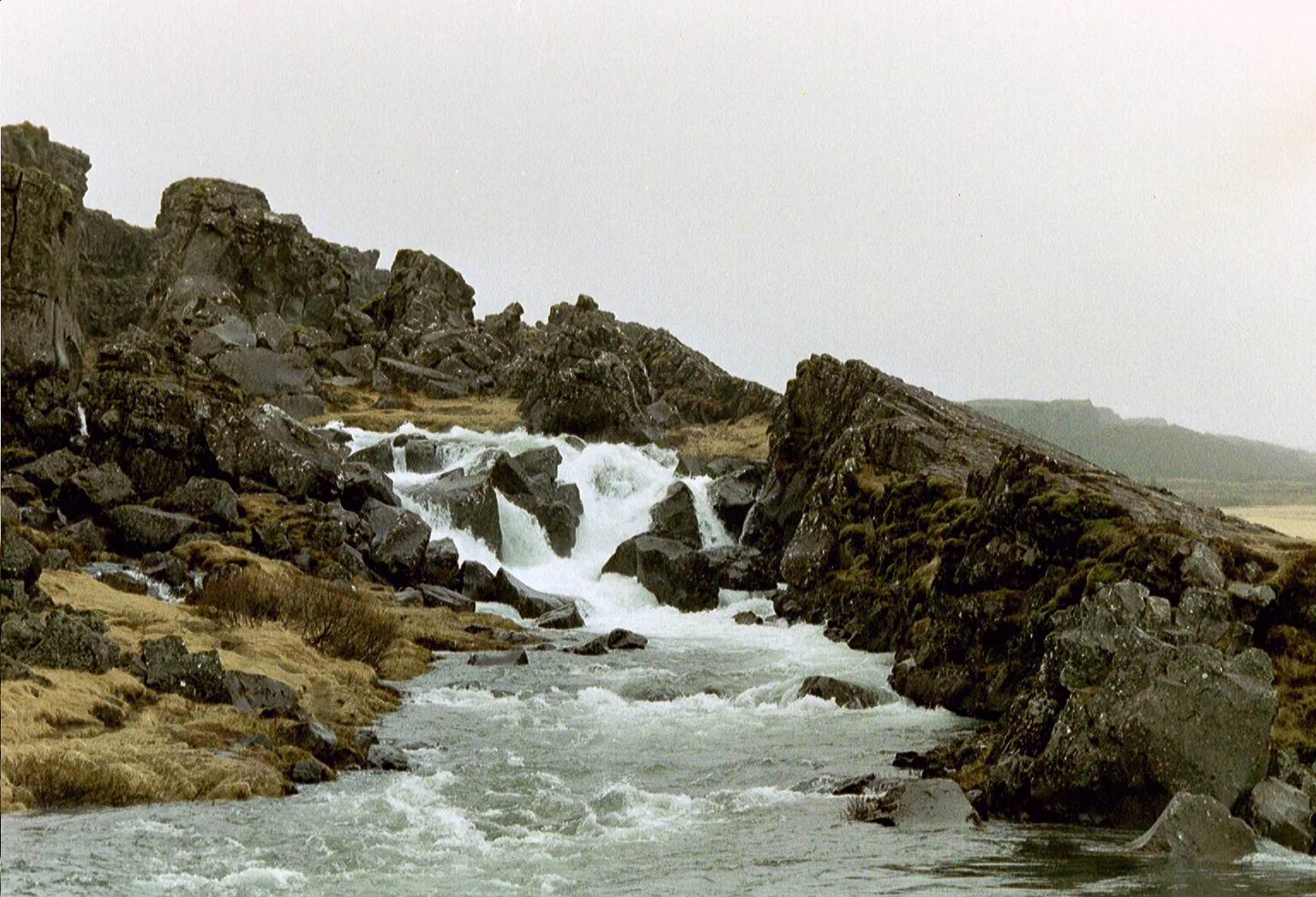 Gallery Image 23