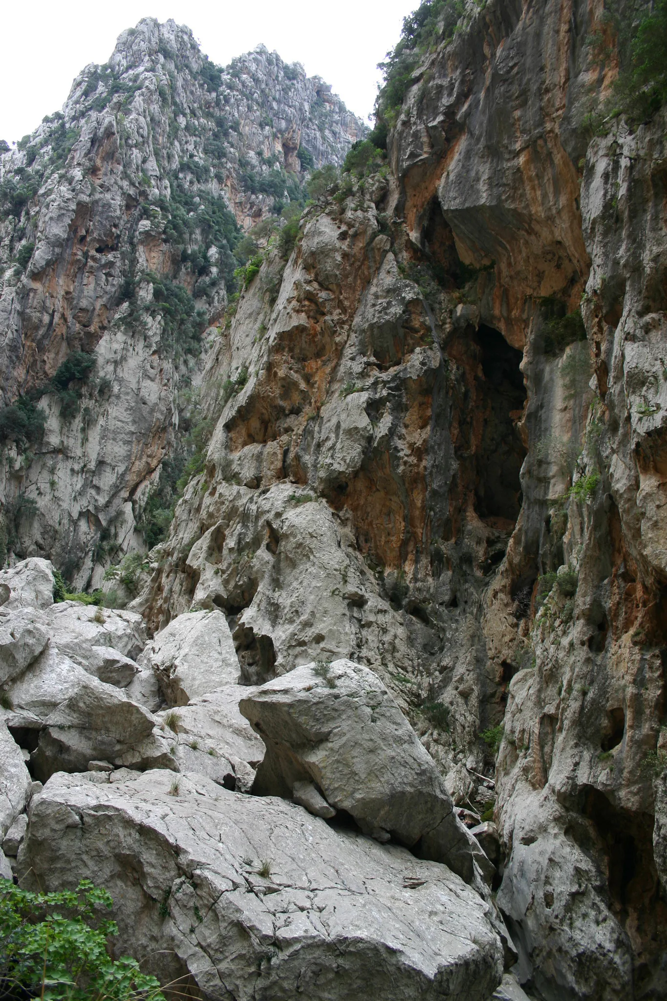 Gallery Image 9