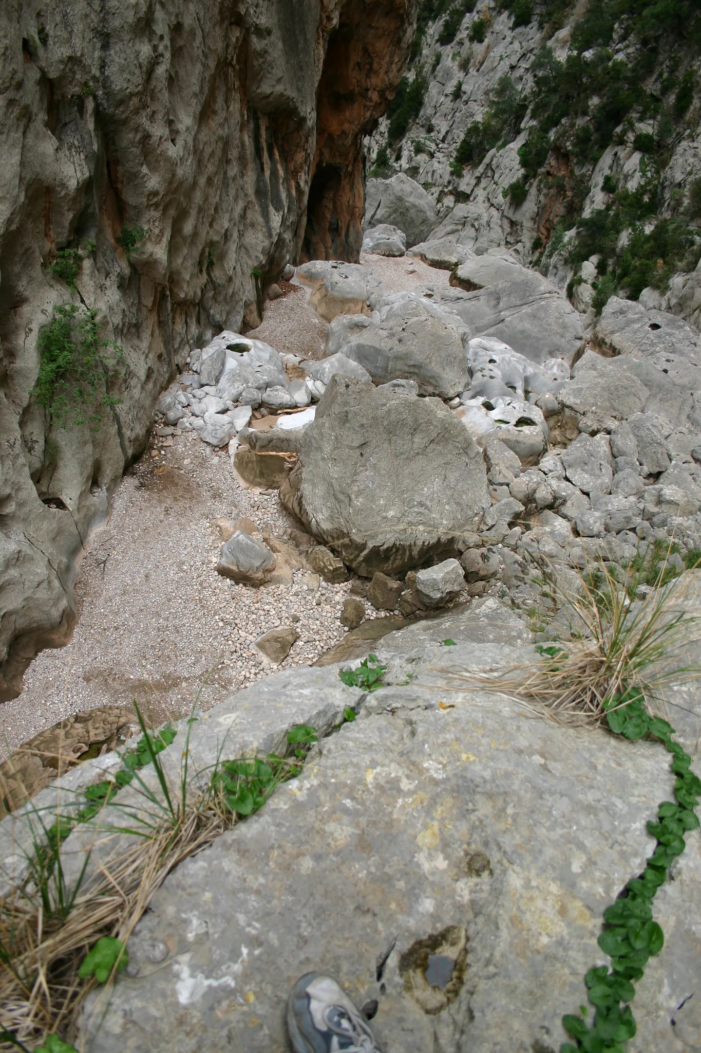 Gallery Image 10