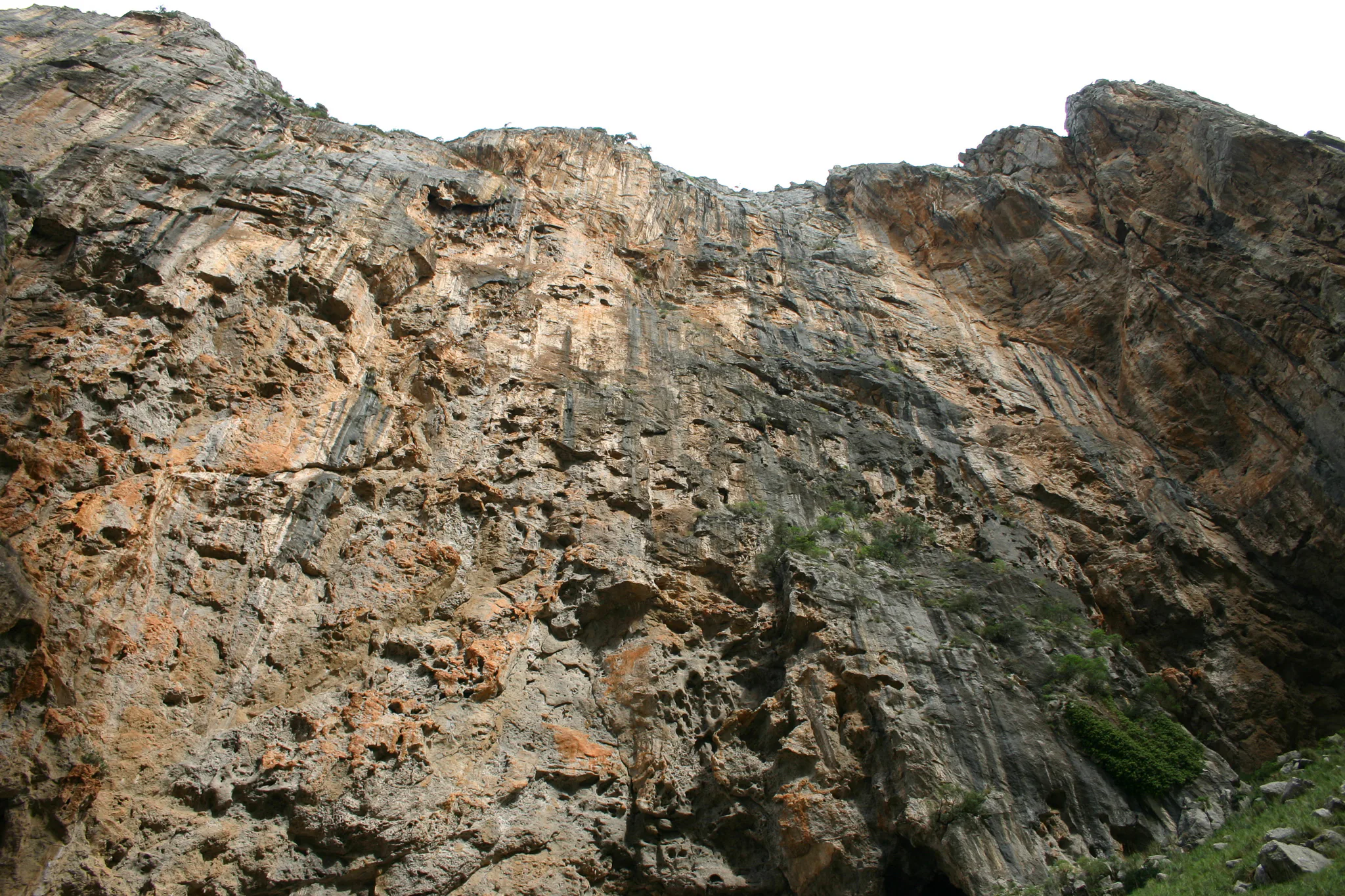 Gallery Image 11