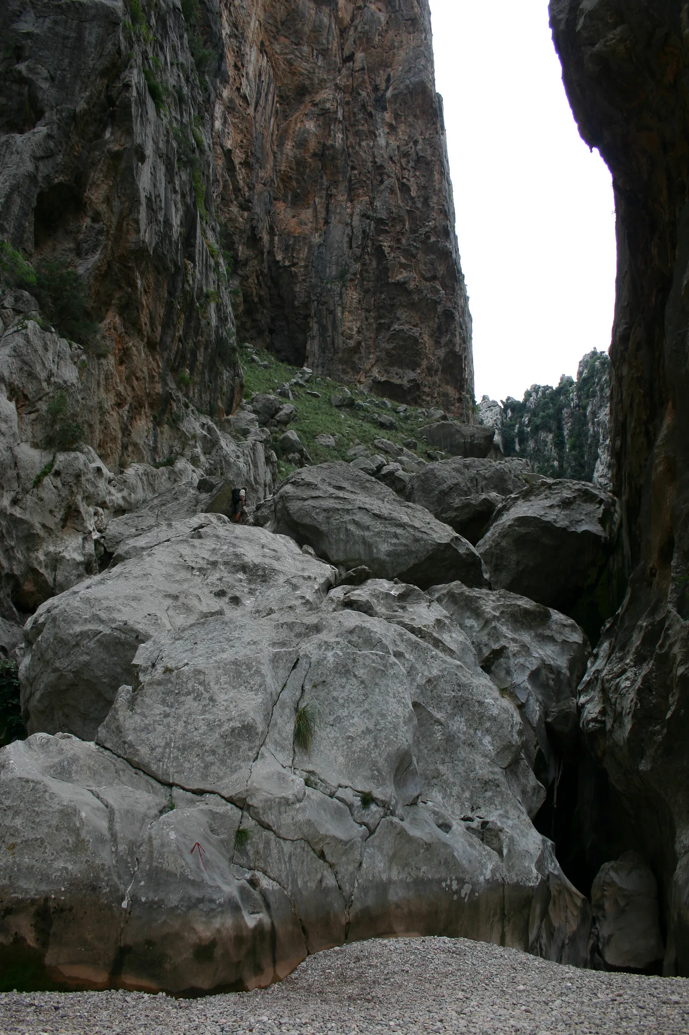 Gallery Image 14