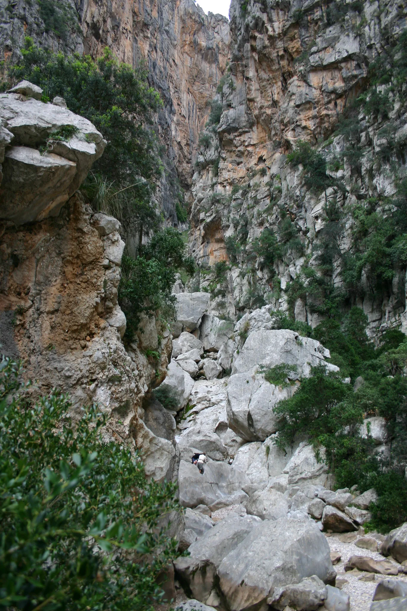 Gallery Image 18