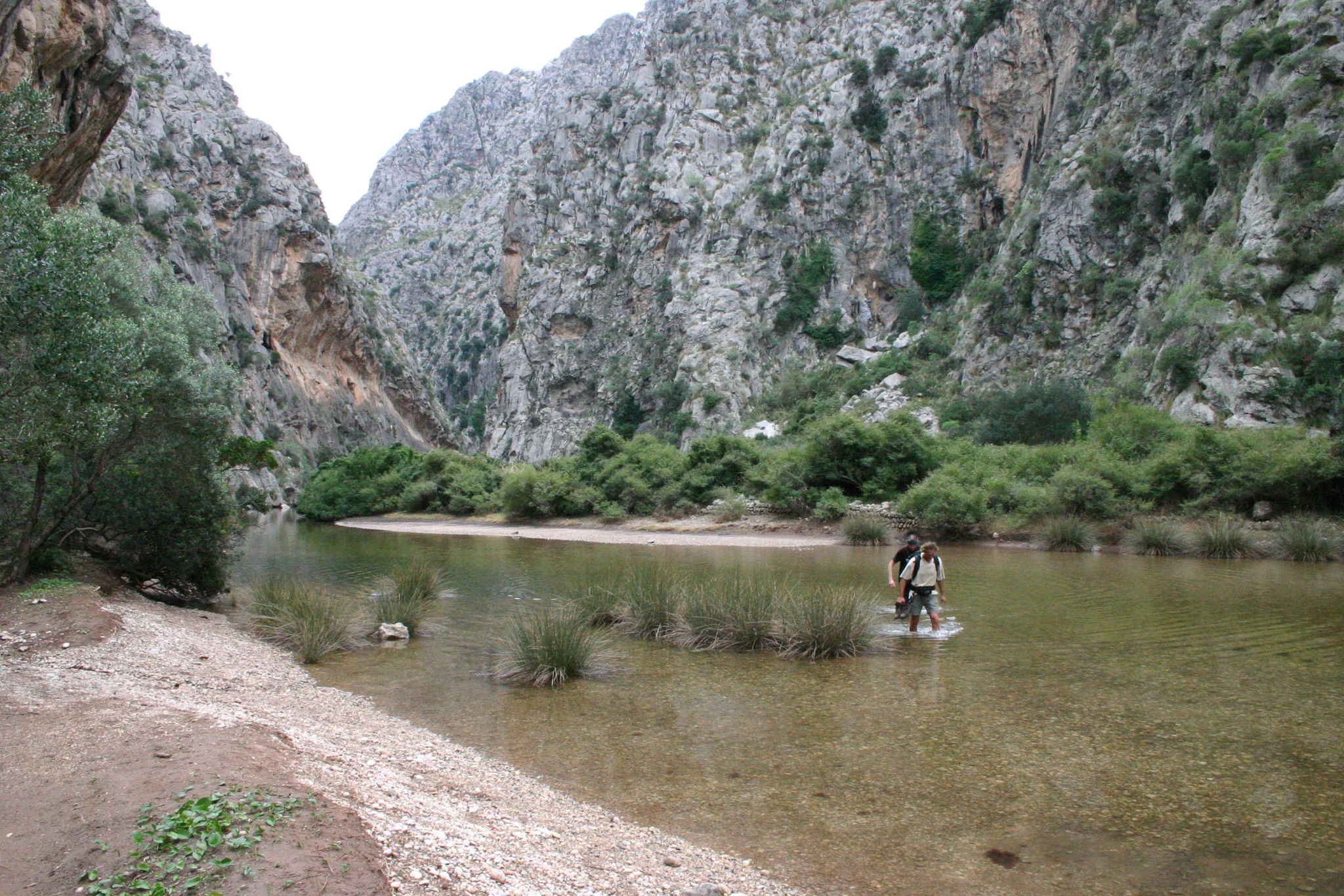 Gallery Image 22