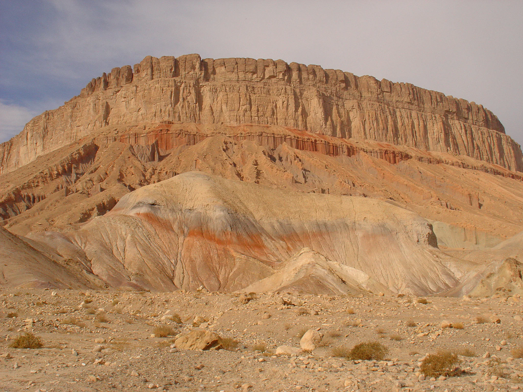 Gallery Image 53
