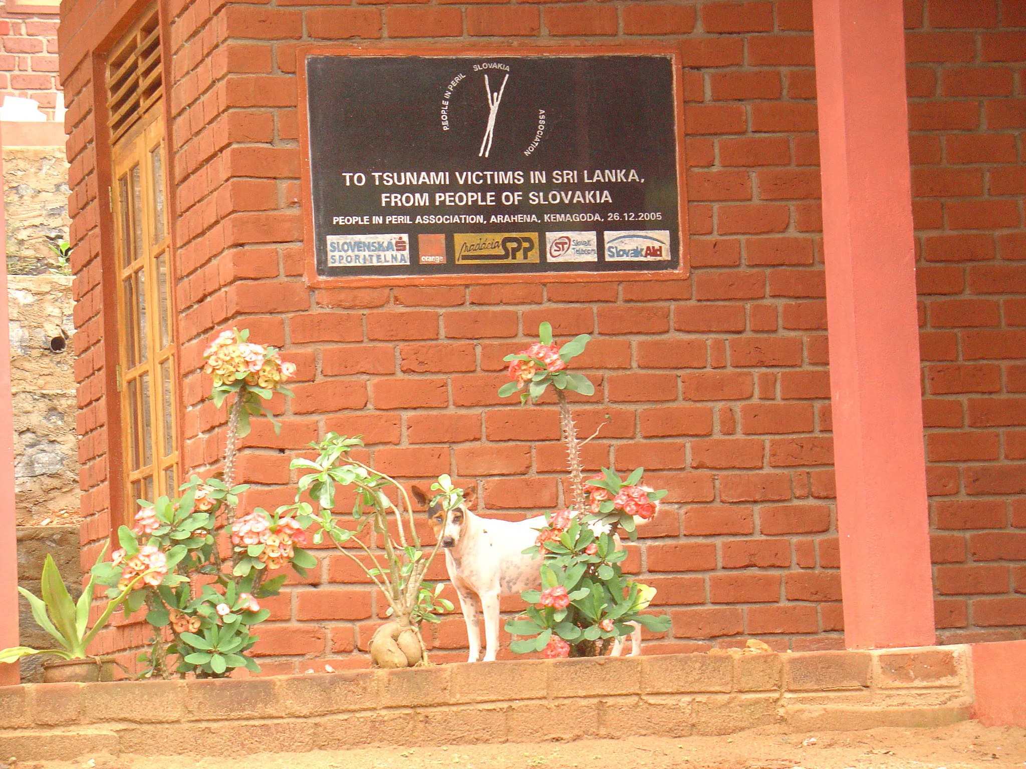 Gallery Image 35