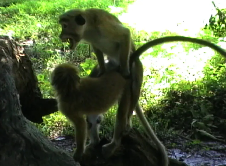 A still from the movie