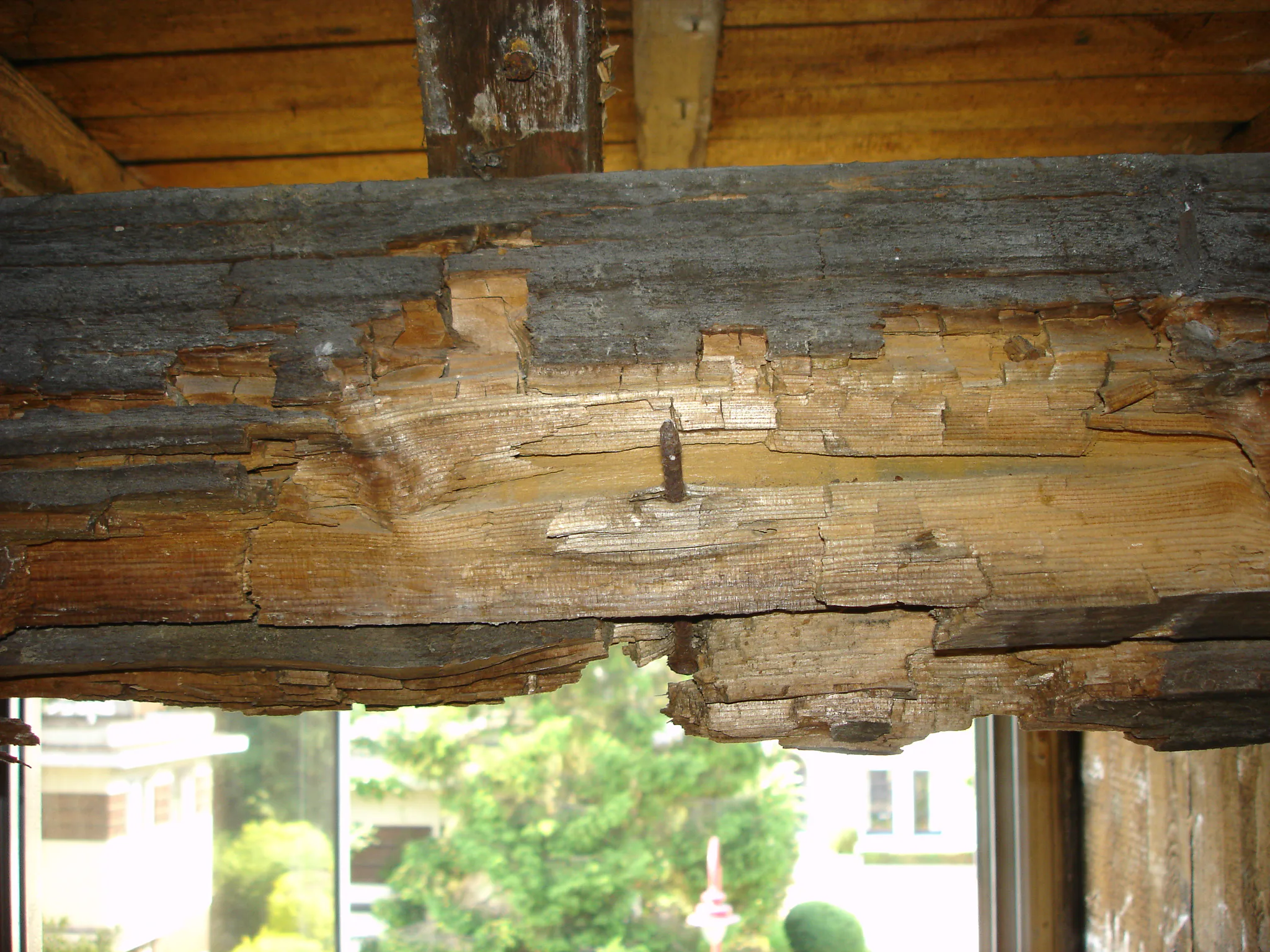 Gallery Image 8